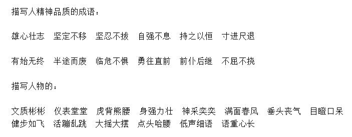 形容精致的成语 知乎