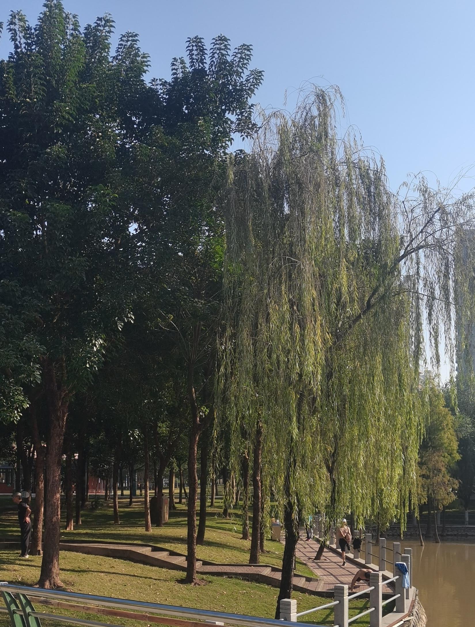 者也 的想法: 茂名南香公园 | 98地点:2023.11.