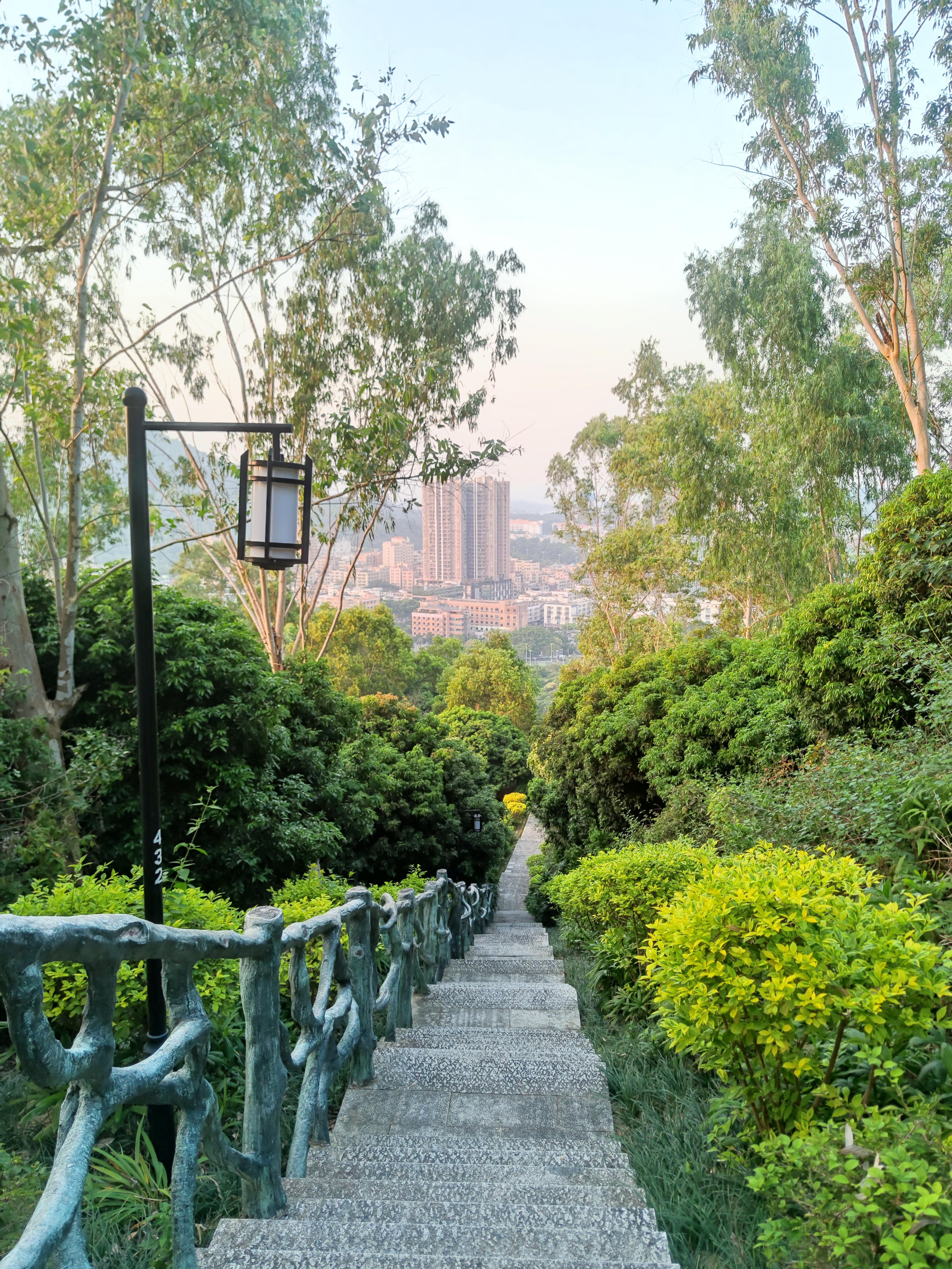 哆啦a梦的魔法口袋 的想法: 小众打卡地74足球公园 | 99秋游地点