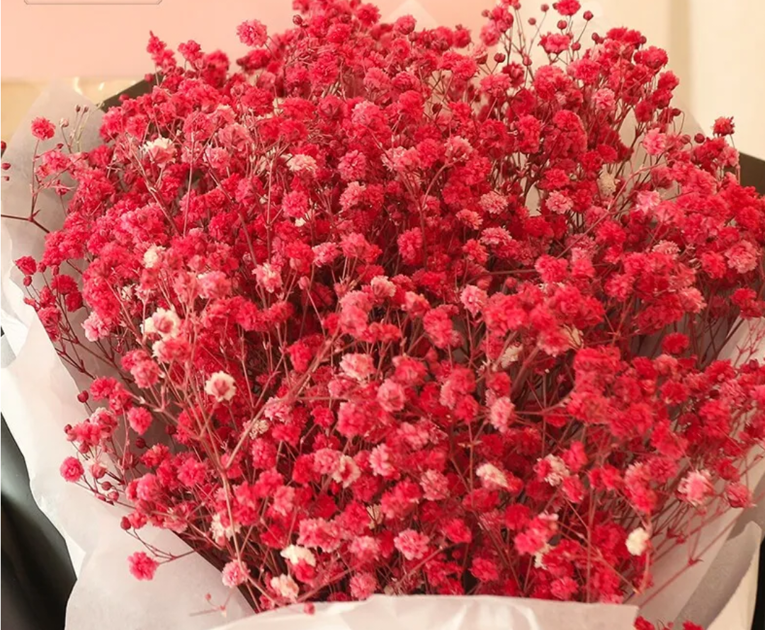 汐音 的想法: 红色满天星花语