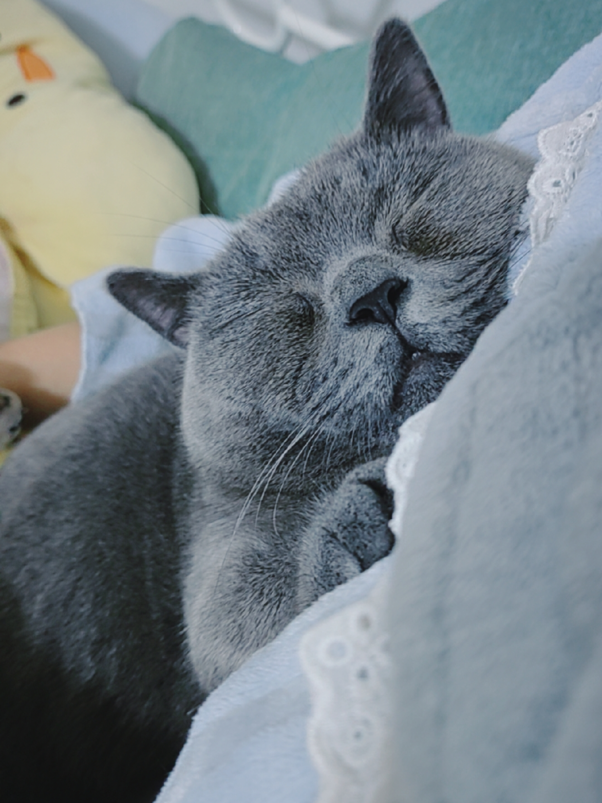 为什么害怕睡觉