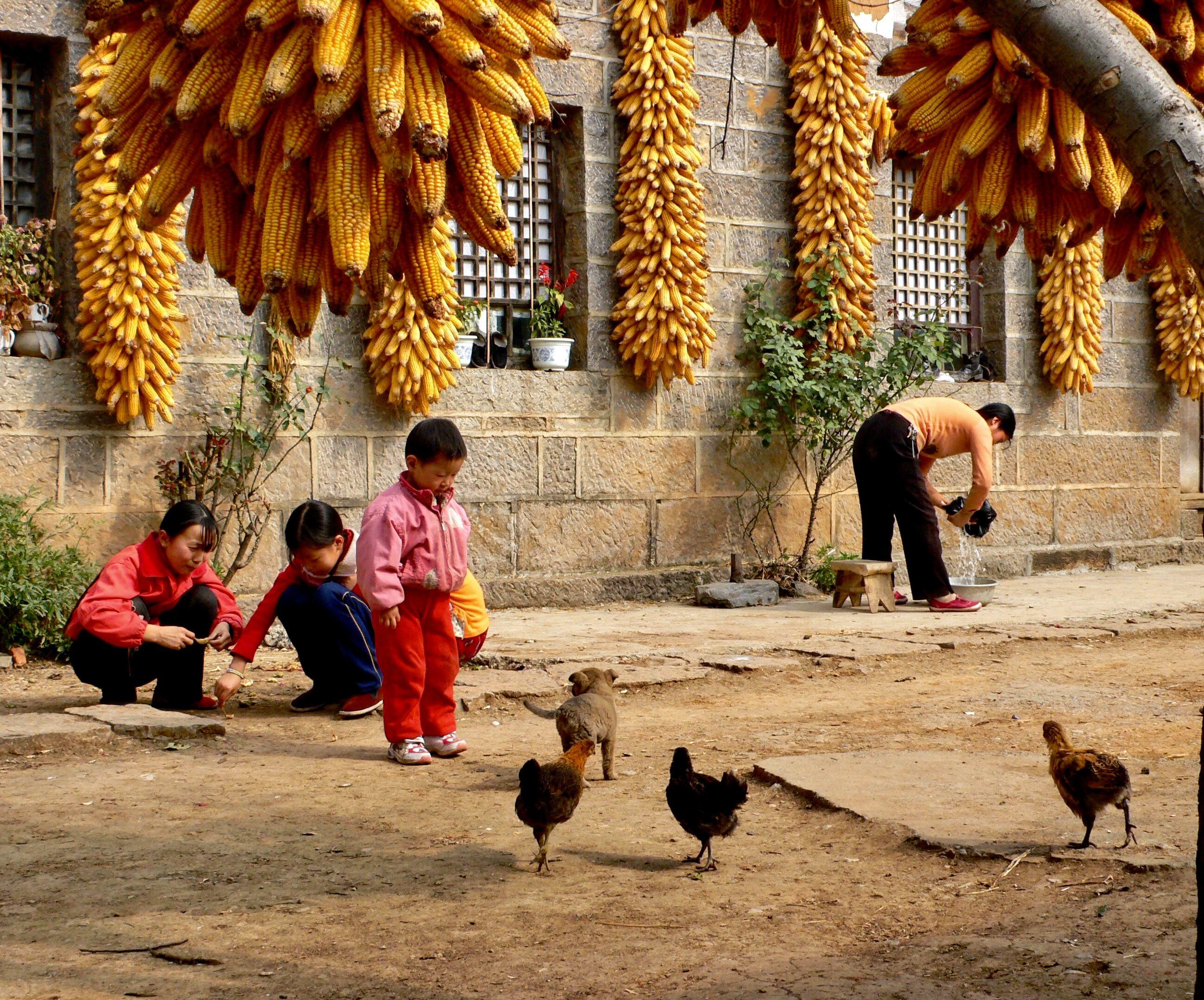 农村生活节奏慢,这主要是由于以下几个原因:农村的生活环境与城市
