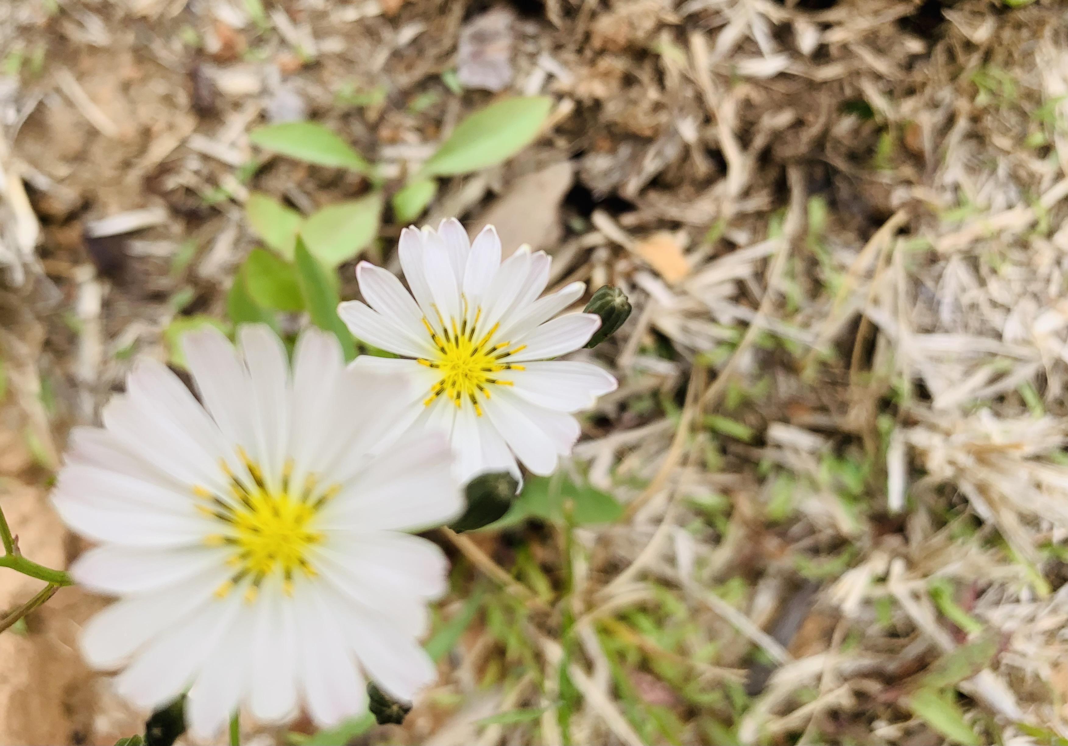 什么参数 手机自带的功能 br>97构图:怎么好看怎么拍,黄金分割线