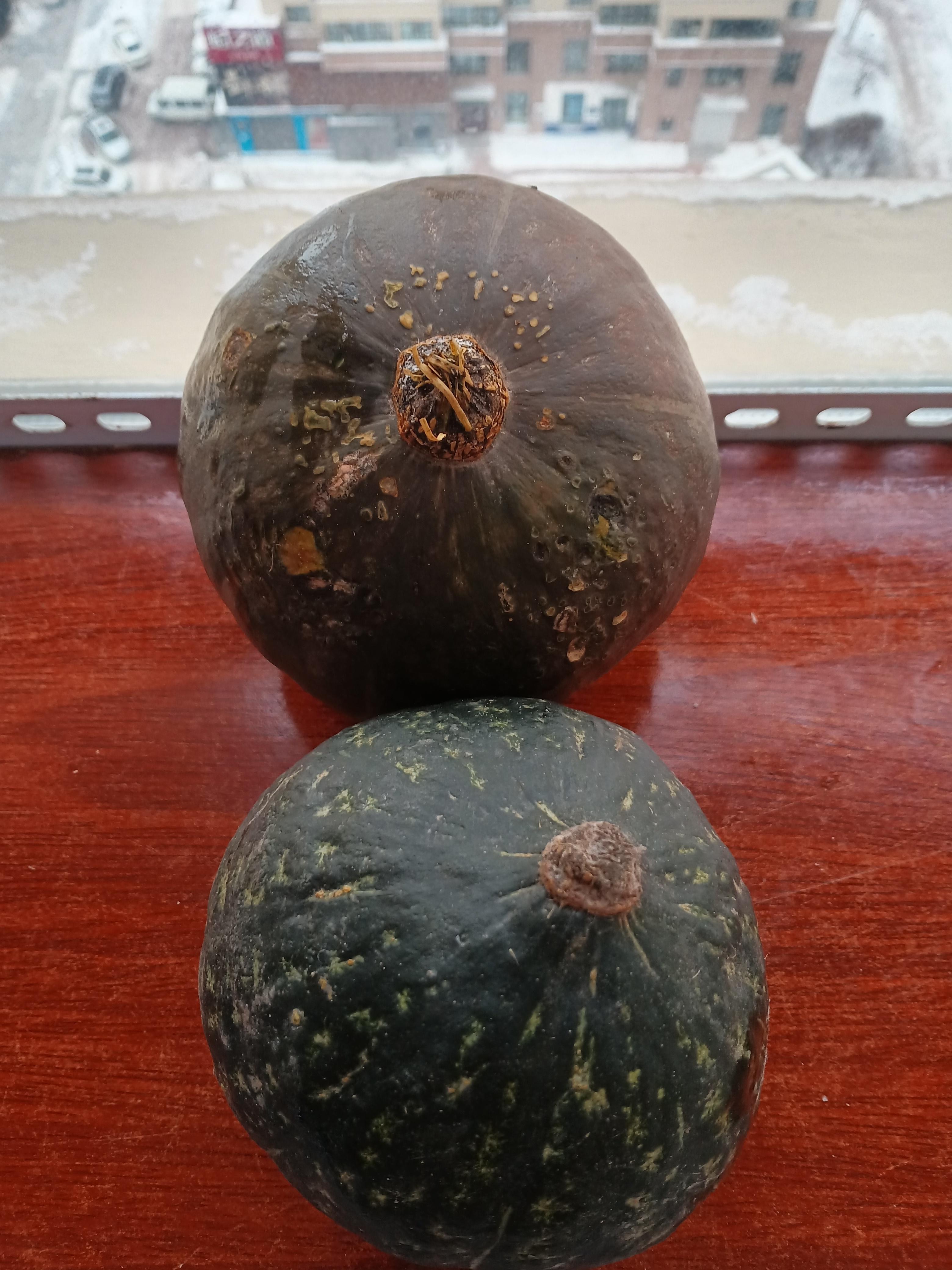 我发现一个问题自己家小圆子种的窝瓜不爱烂特别能存放看看我这两个小