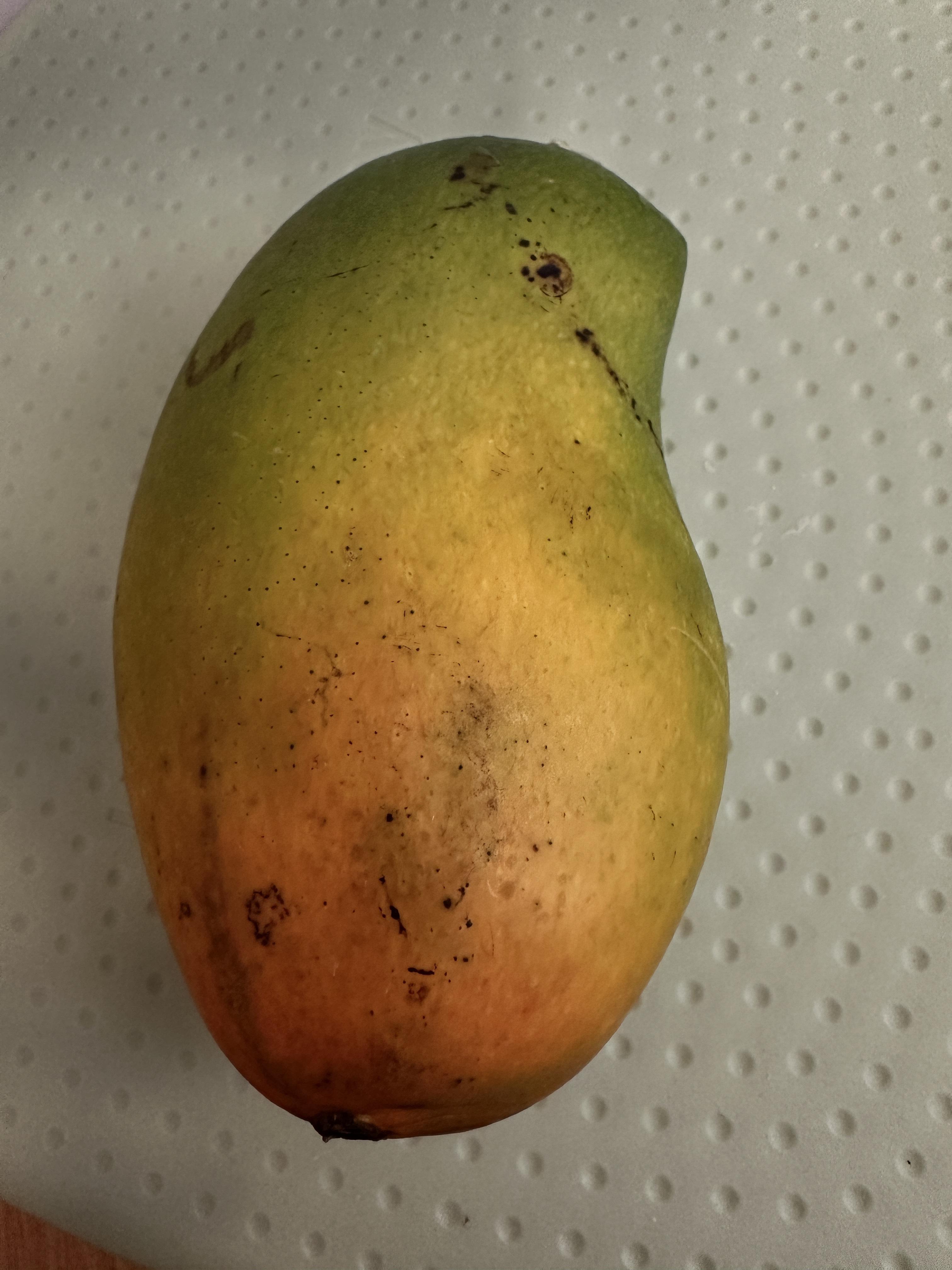 夜莺的歌声 的想法: 金黄芒 | 最近刷到了网上的视频,有一个吸吸博主