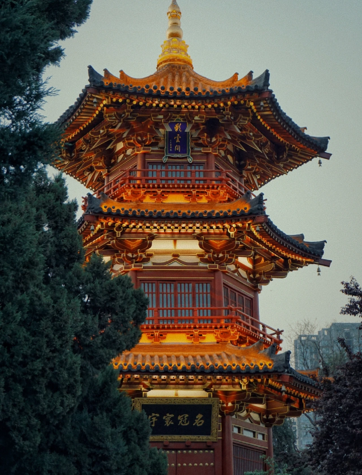 依诺知否 的想法: 西安东郊的兴庆公园环境优美,虽然地处繁华地段