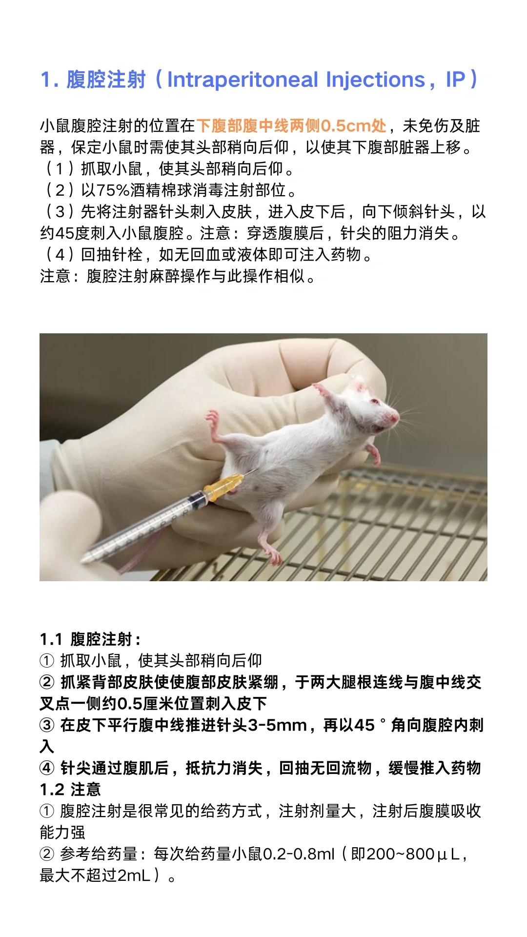 小鼠不同注射位置的最大注射剂量你了解吗实验小鼠注