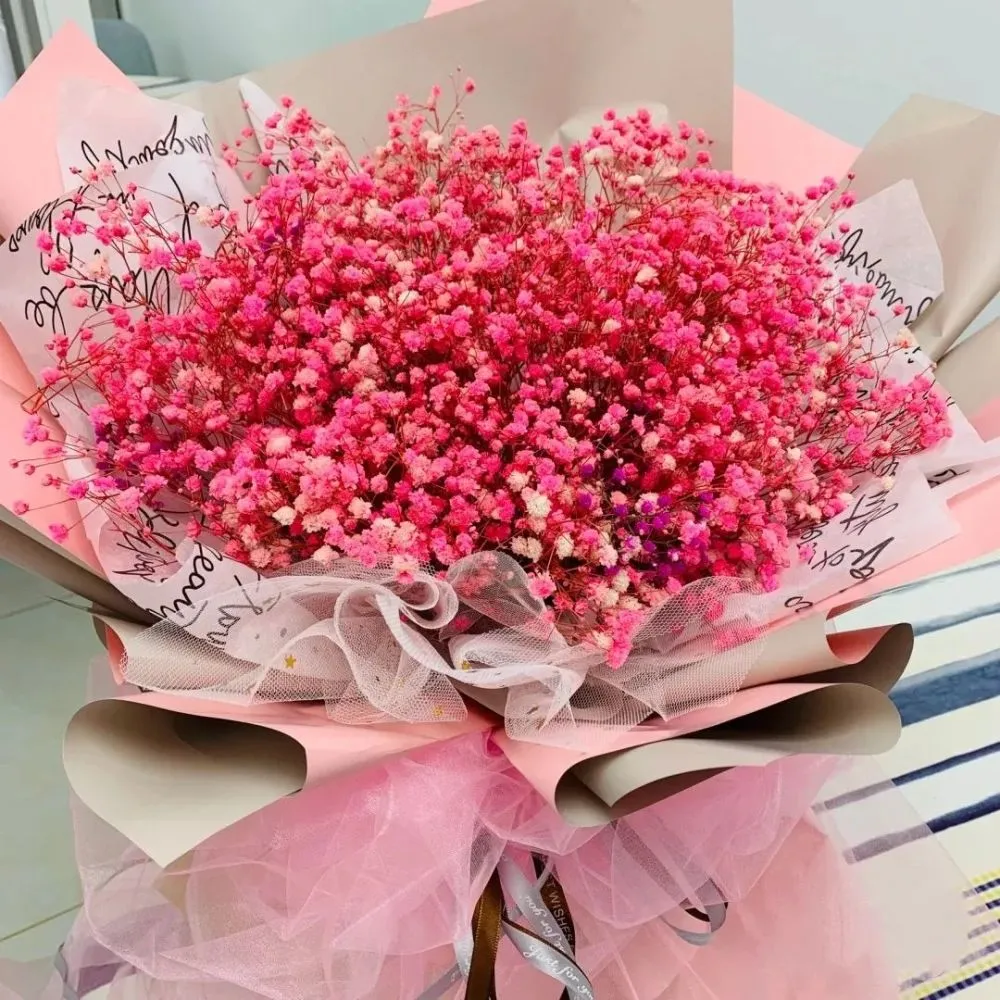 汐音 的想法: 红色满天星花语