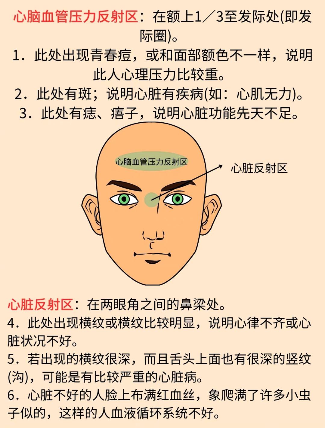 脸上长斑的反射区图片图片