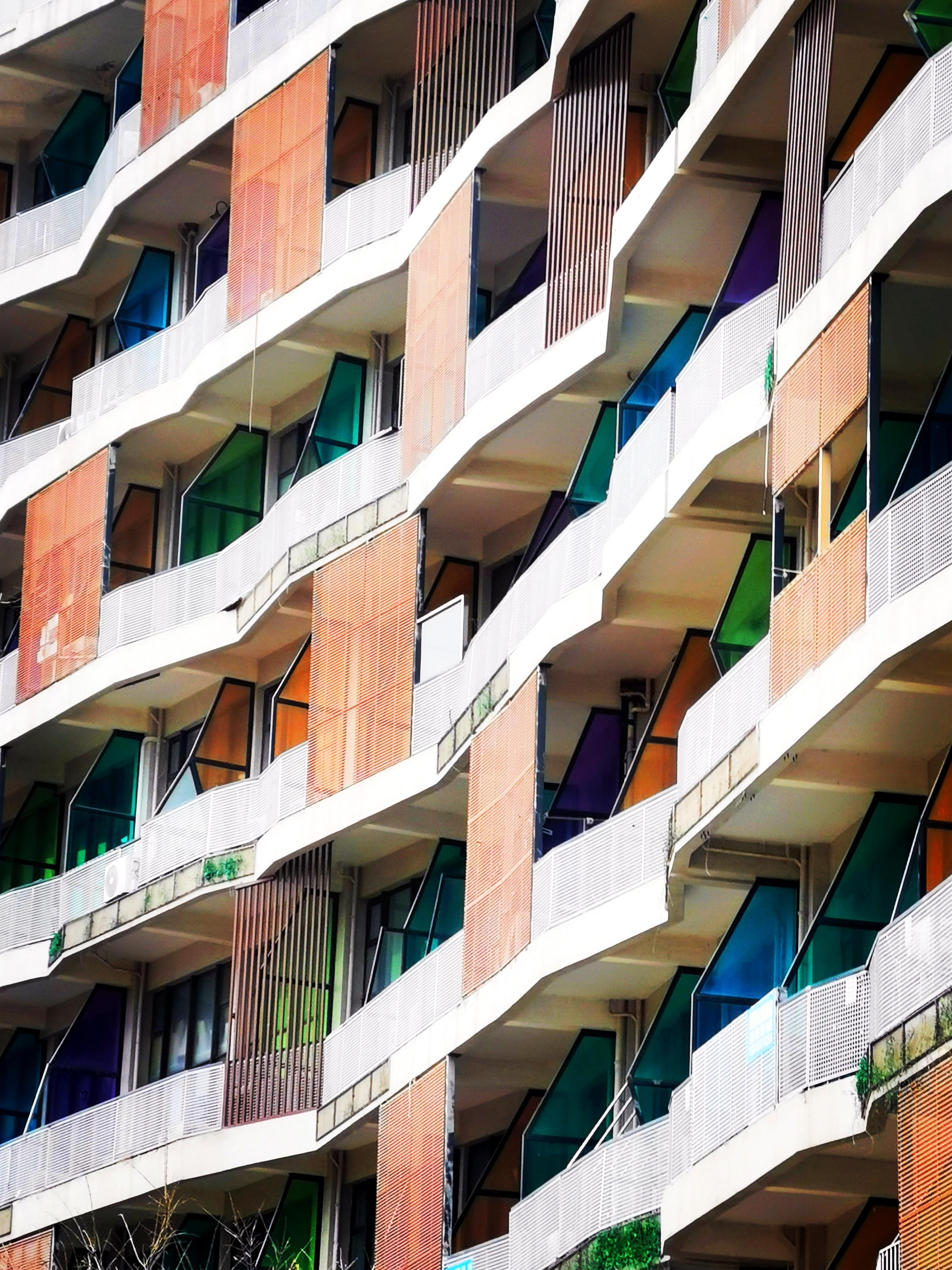 人观猿 的想法: 曲直与黑白