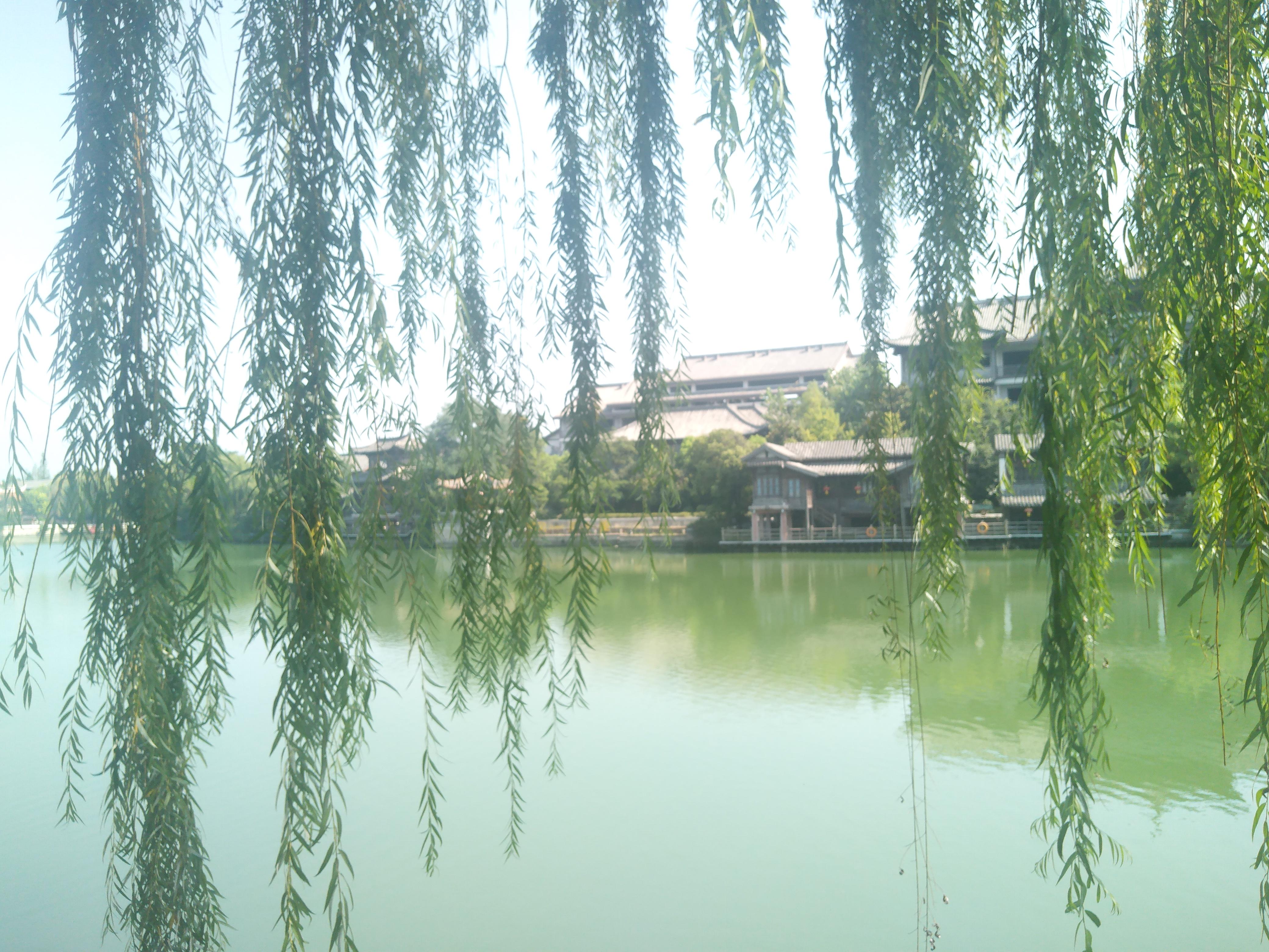 李波 的想法: 中华古水城,二战扬威地:台儿庄