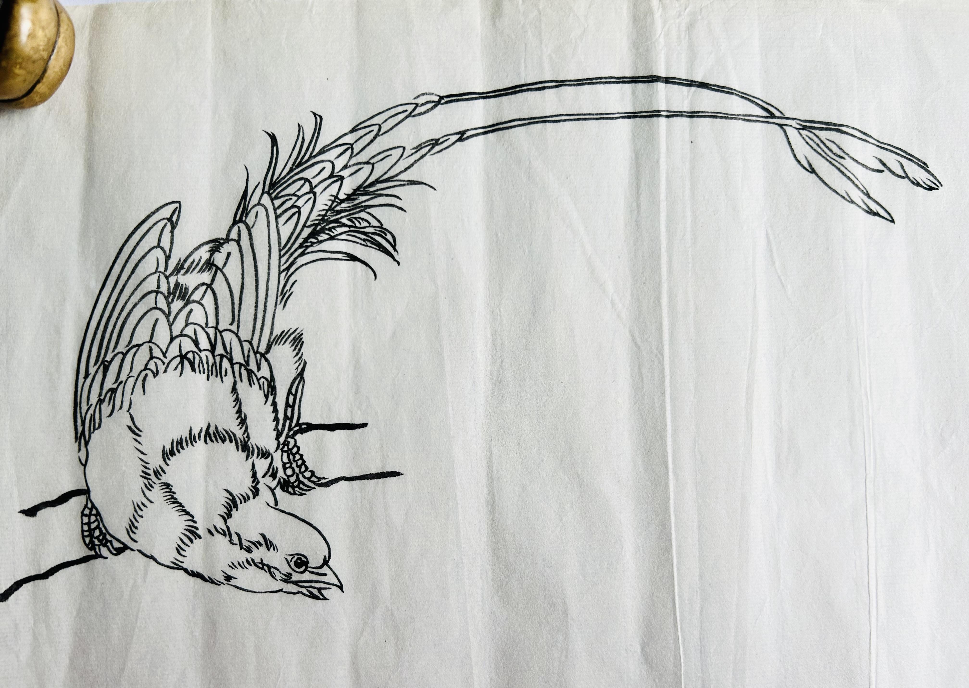 静观斋 的想法: 国画白描花鸟练习之十