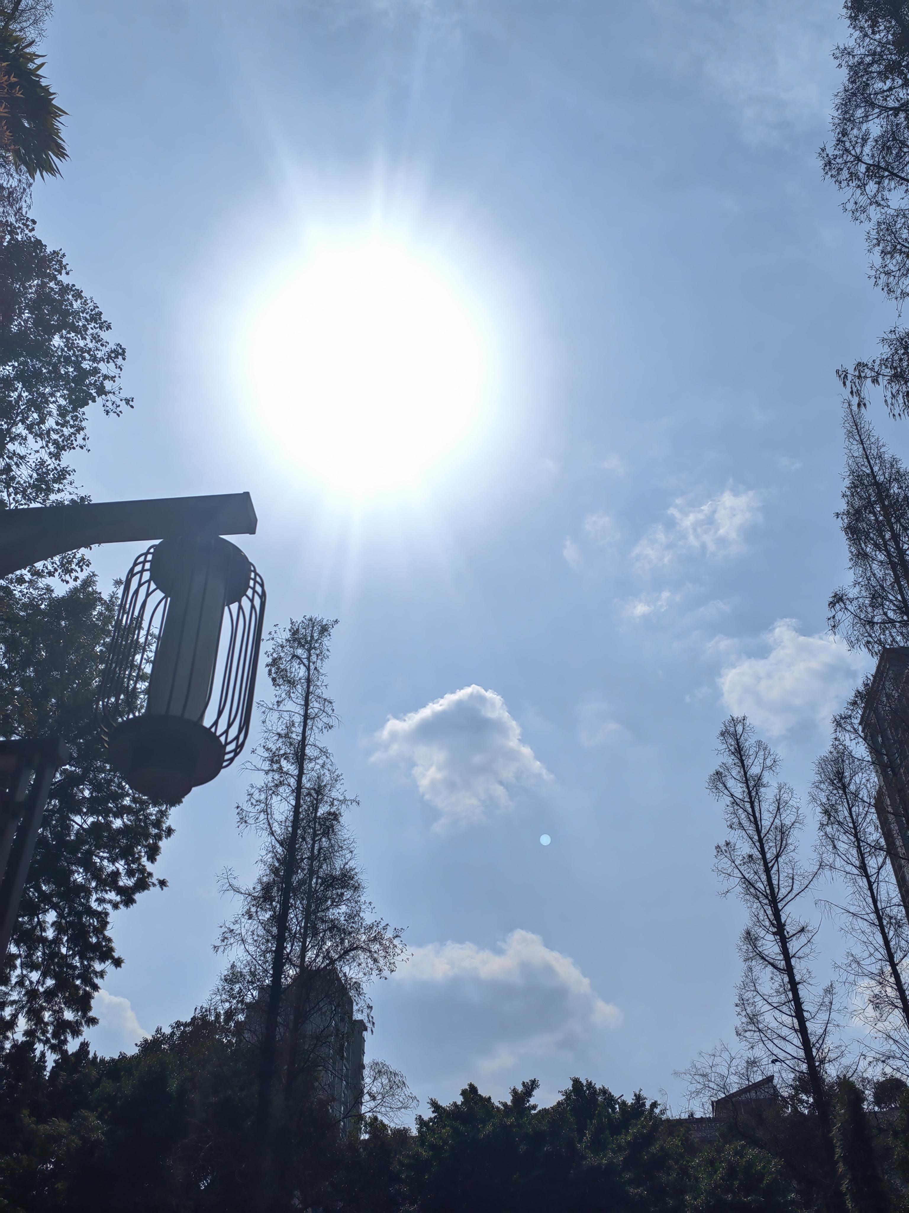 江一胜 的想法: 春风和煦,艳阳高照