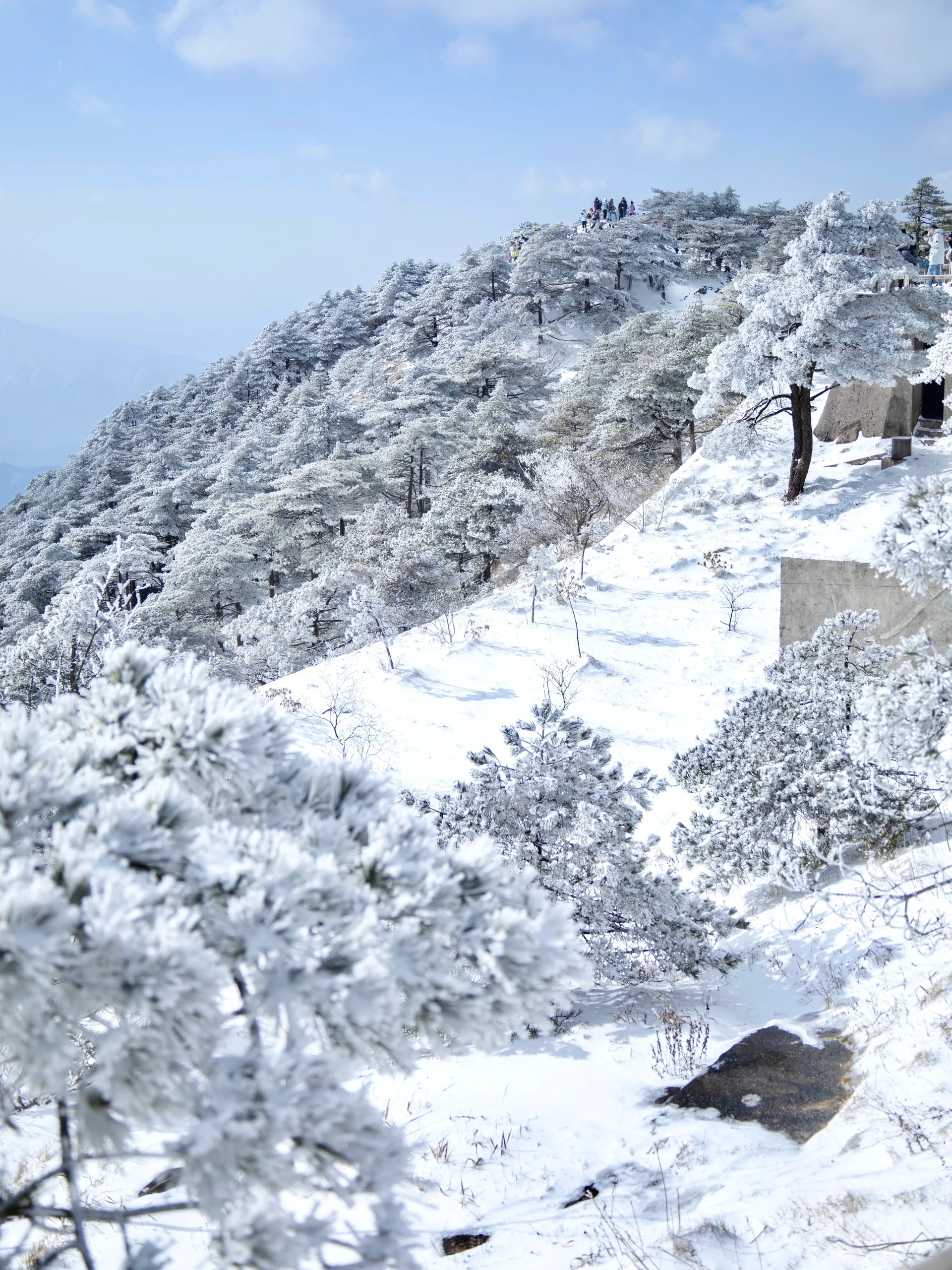 武夷山雪景图片