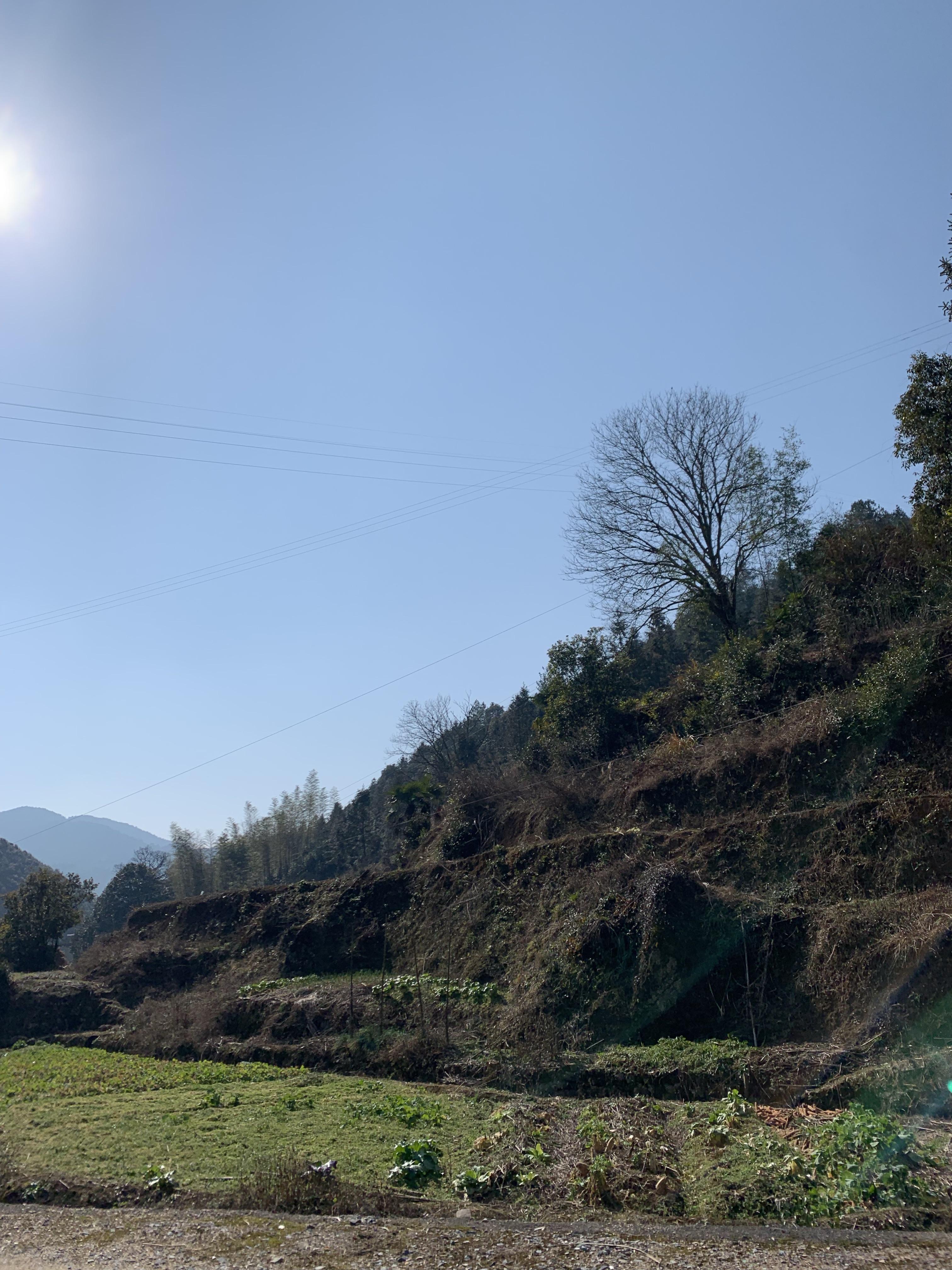 冬季乡村田园风光图片