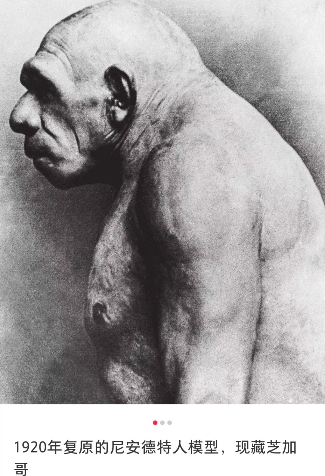 伏虎2 的想法: 霍比特人中巨魔很像尼安德特人复原