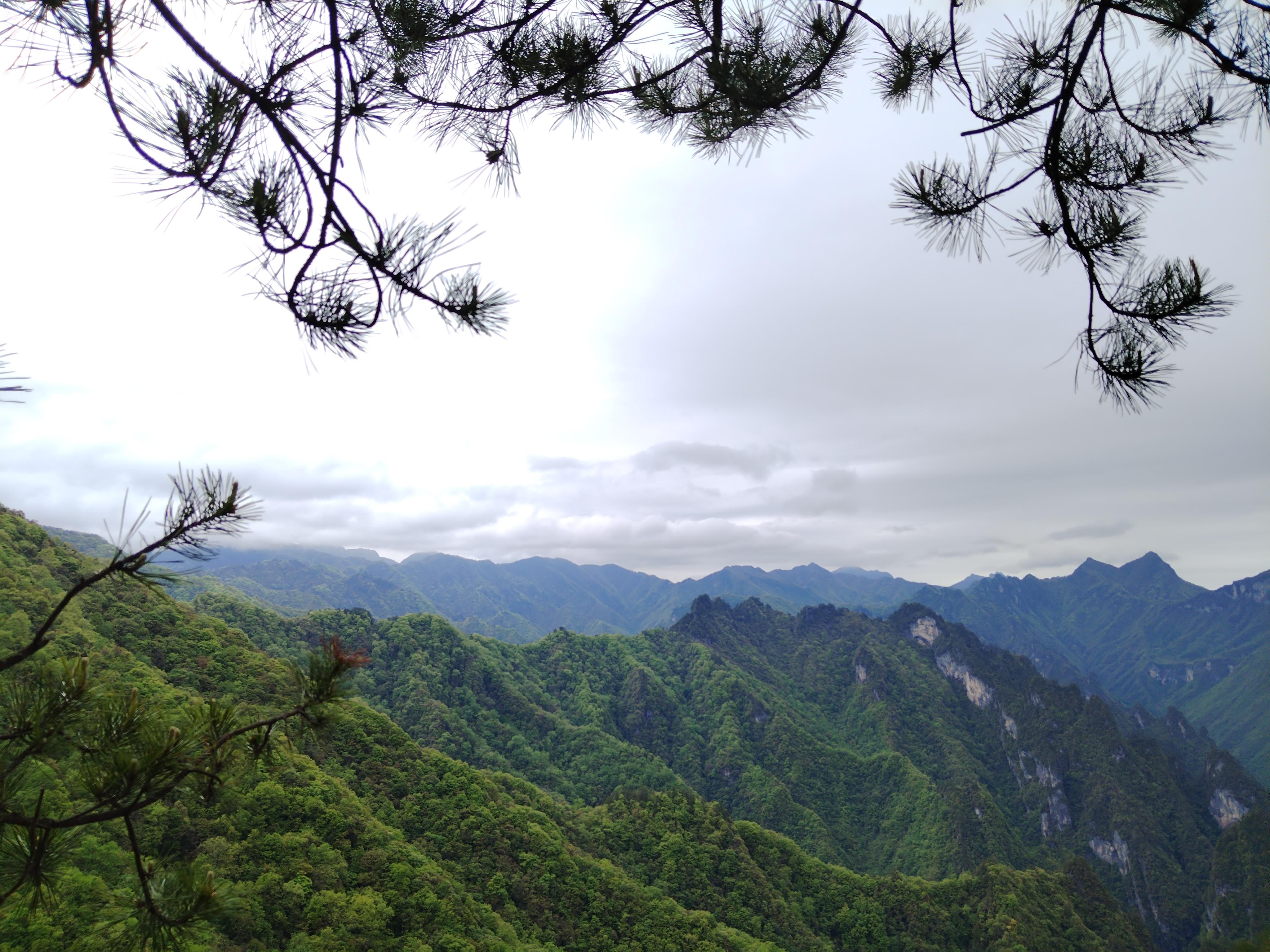 振业峦山谷图片图片