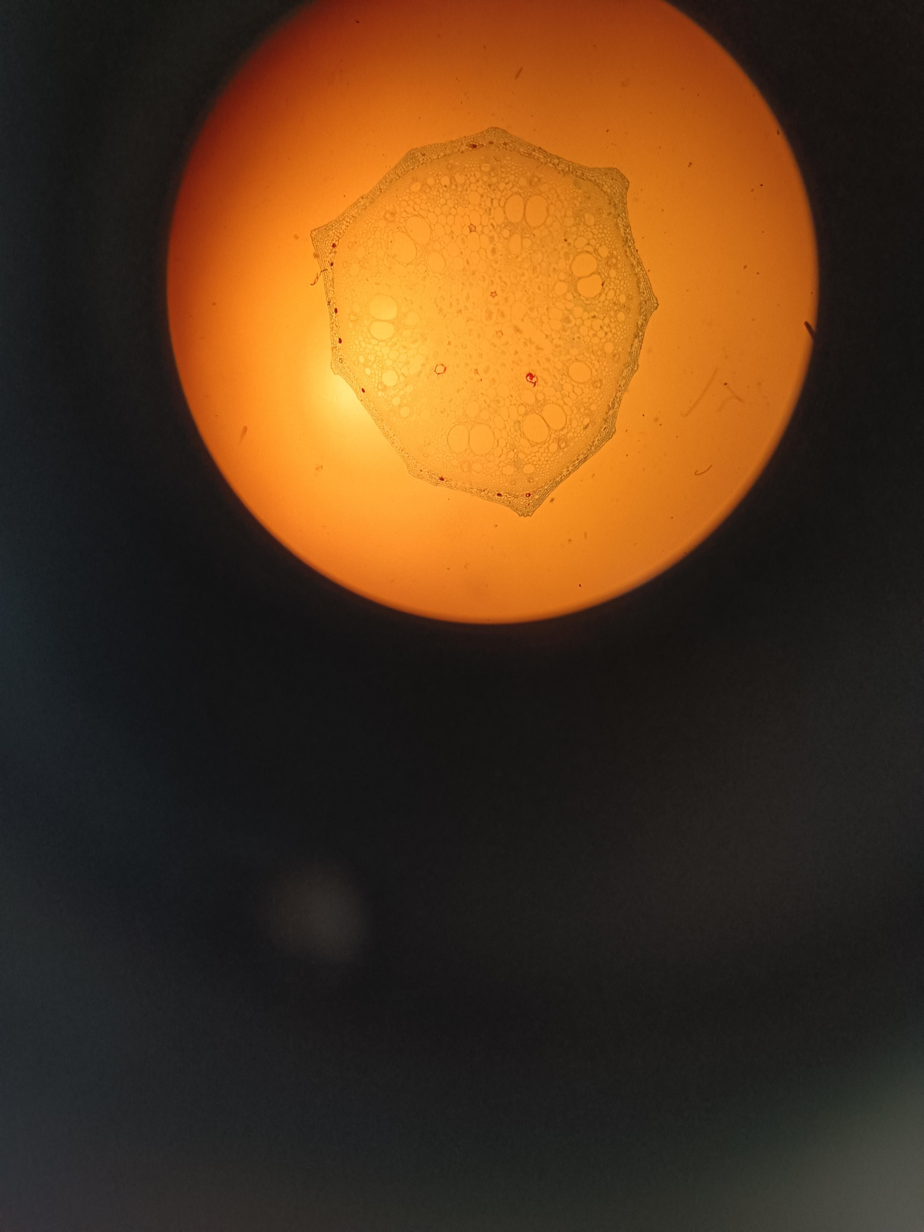 星星点灯 的想法: 今日份碎片 | 今天两节实验课,真的很爱… - 知乎