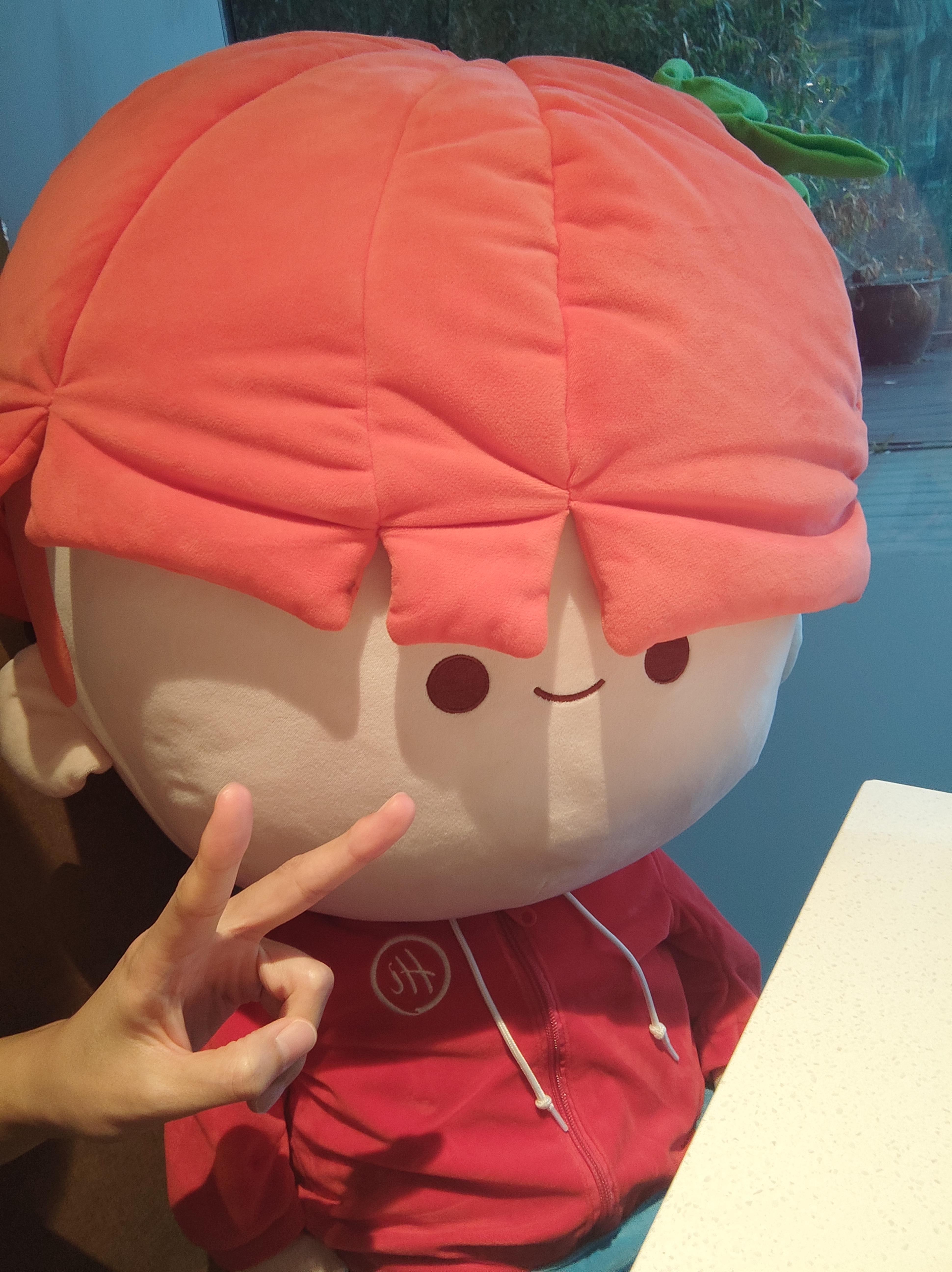 我是皮卡丘他媳妇儿 的想法: 海底捞娃娃 |  a data-pin-topic="zhihu