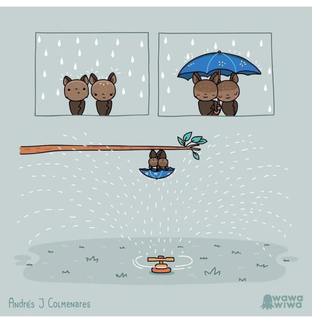 的想法: 今天分享几个可爱的meme | 生活的复杂性在于其喜忧参半的