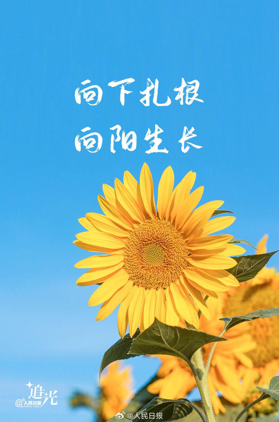 致前行者(致前行者徐梦桃)