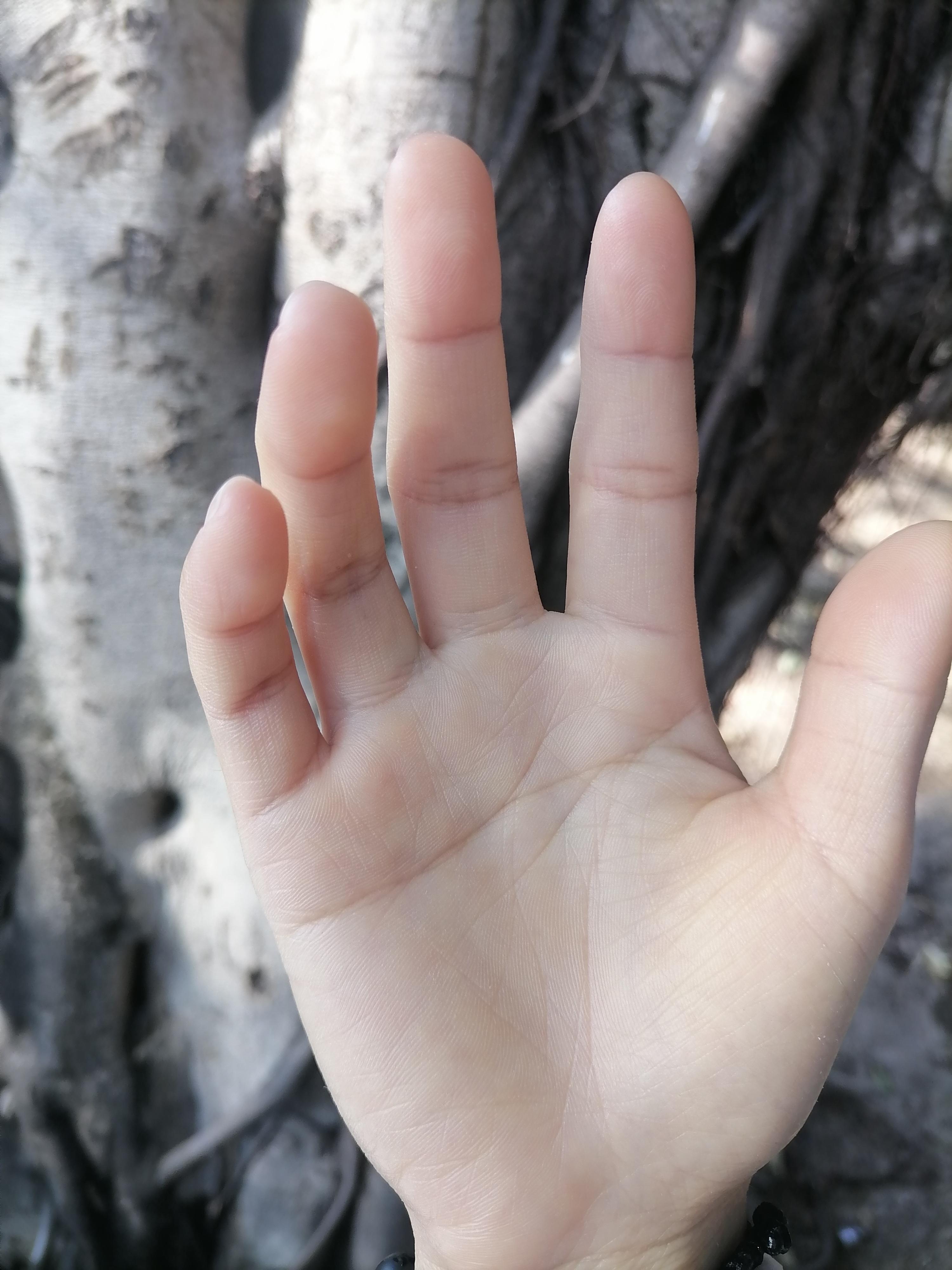 九栀 的想法: 心里的房子建好了么?可以安住了么?