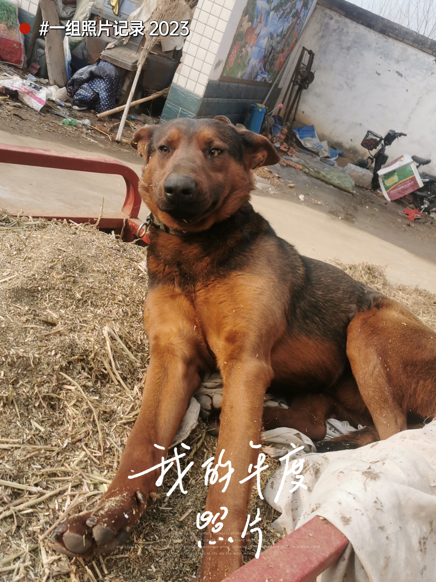 桑榆非晚 的想法: 在家也要工作