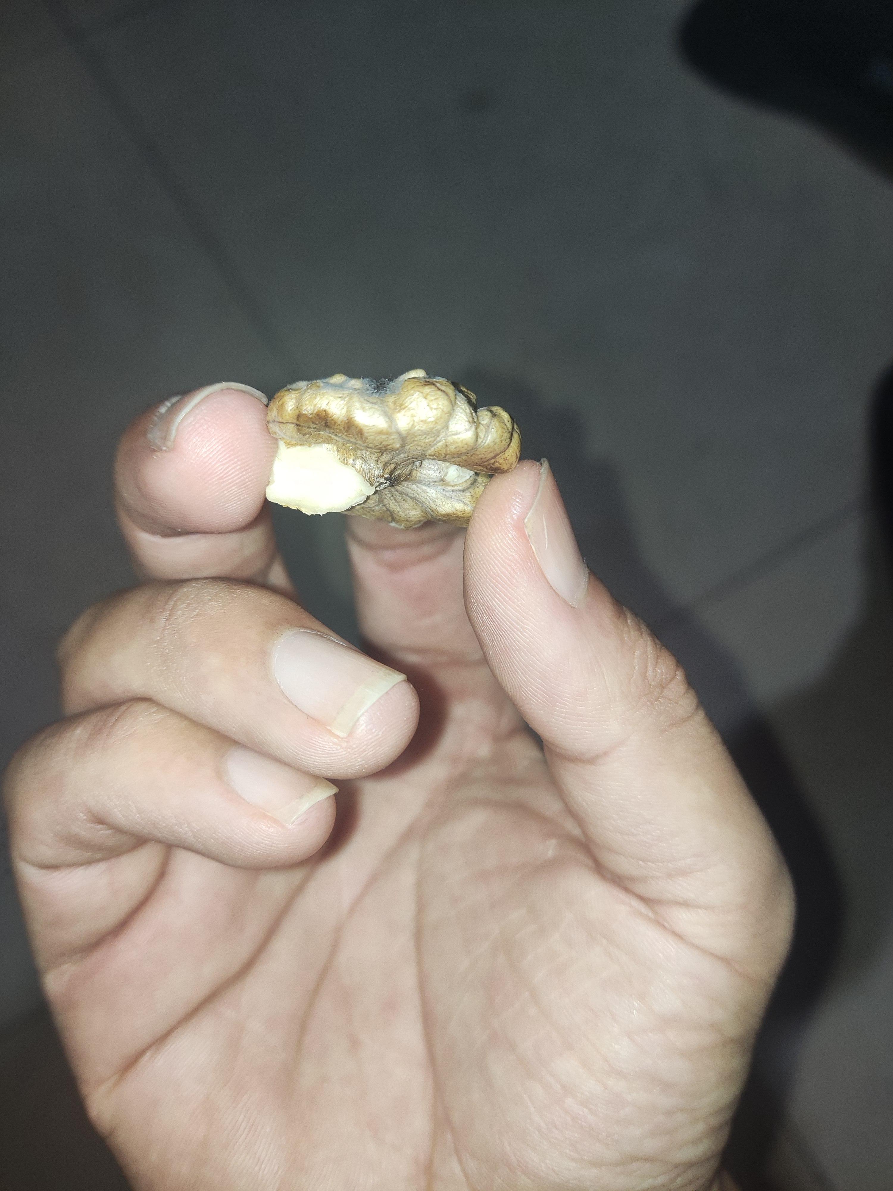 今天吃核桃的时候,在灯下发现这核桃上有绒毛,他是霉菌之类的东西