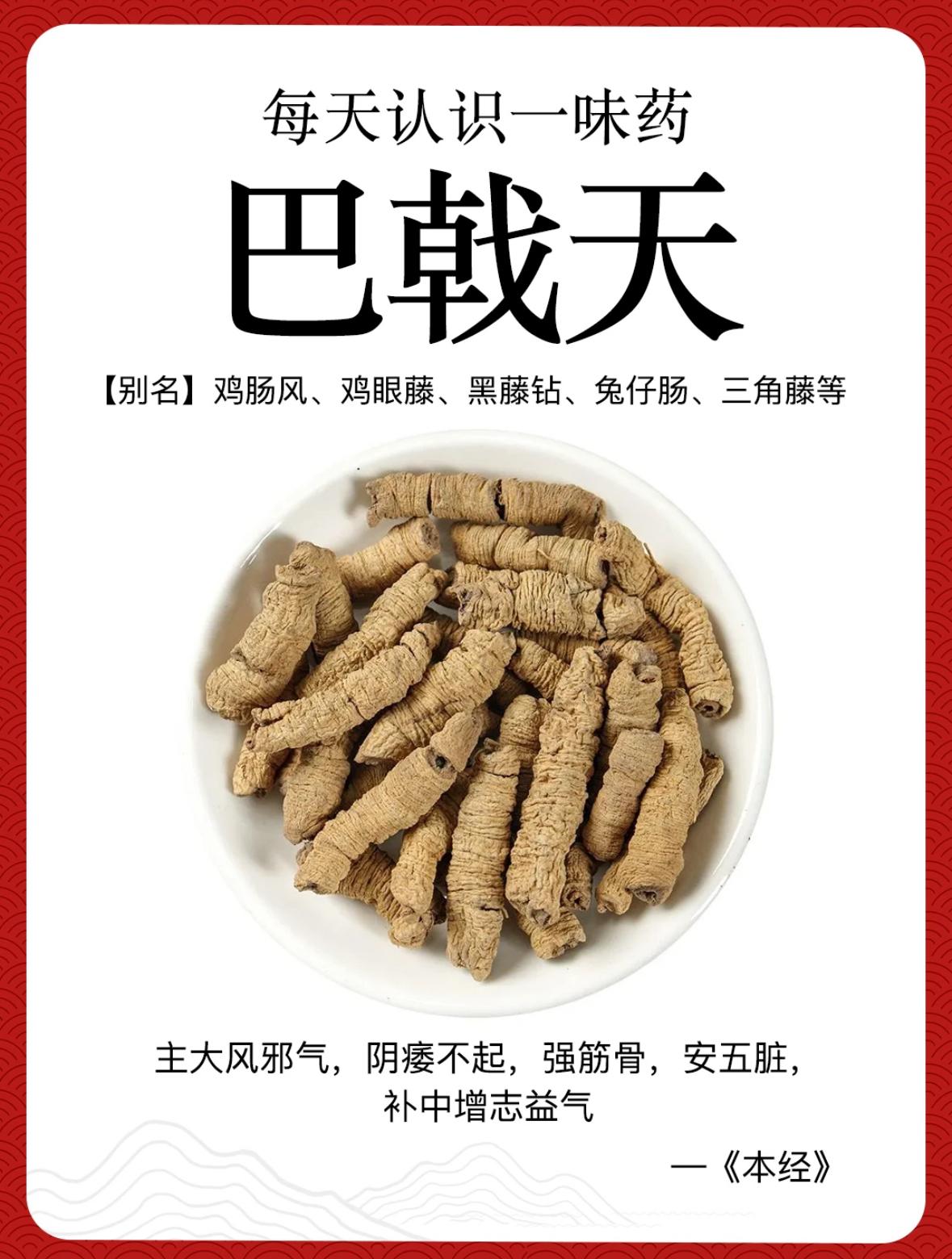 每天认识一味药巴戟天巴戟天这味常见的中药材外形虽