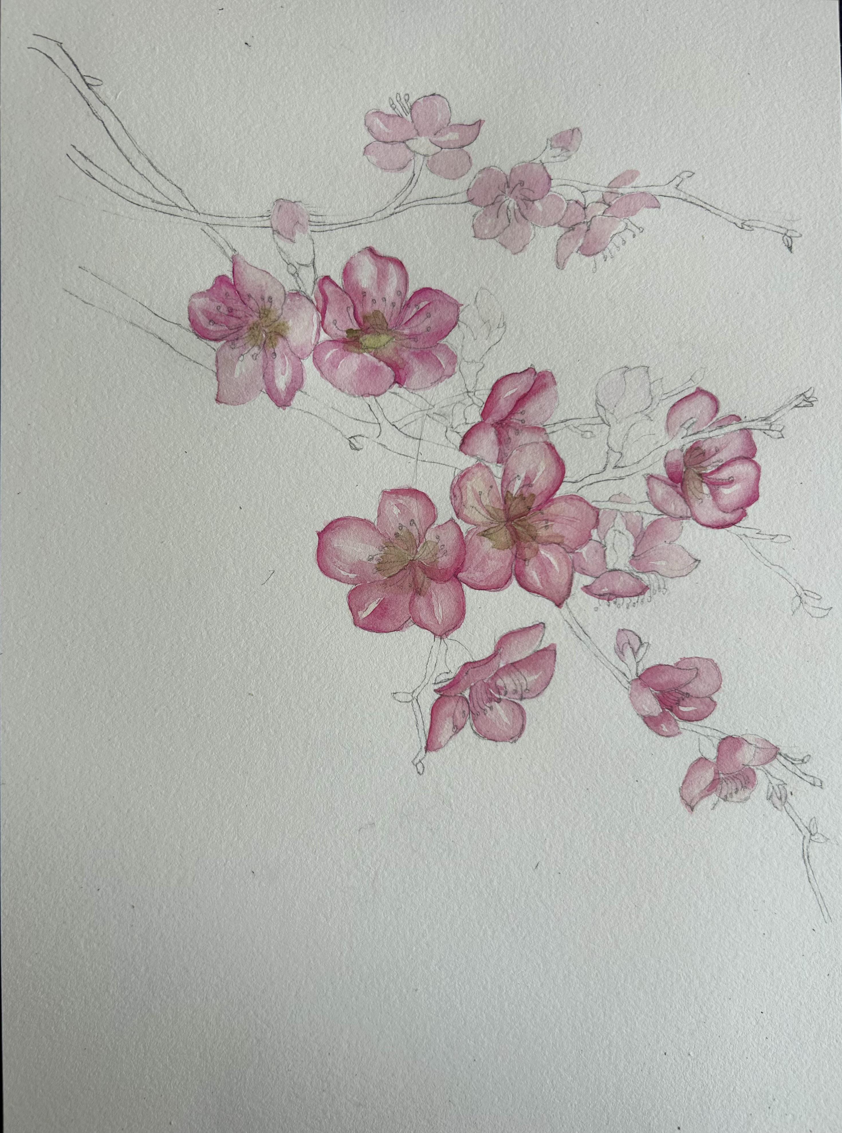 静观斋 的想法: 水彩花卉练习之八