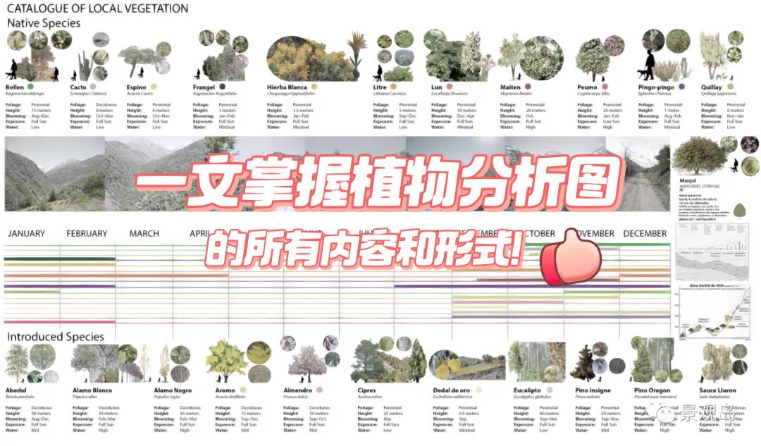 景观岛 的想法: 一文掌握植物分析图的所有内容和形式【上】在景观类项目中,植物分析图占据着特殊的地位。 无论项目的尺… - 知乎