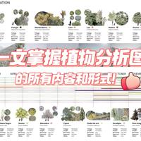 景观岛 的想法: 一文掌握植物分析图的所有内容和形式【上】在景观类项目中，植物分析图占据着特殊的地位。 无论项目的尺… - 知乎