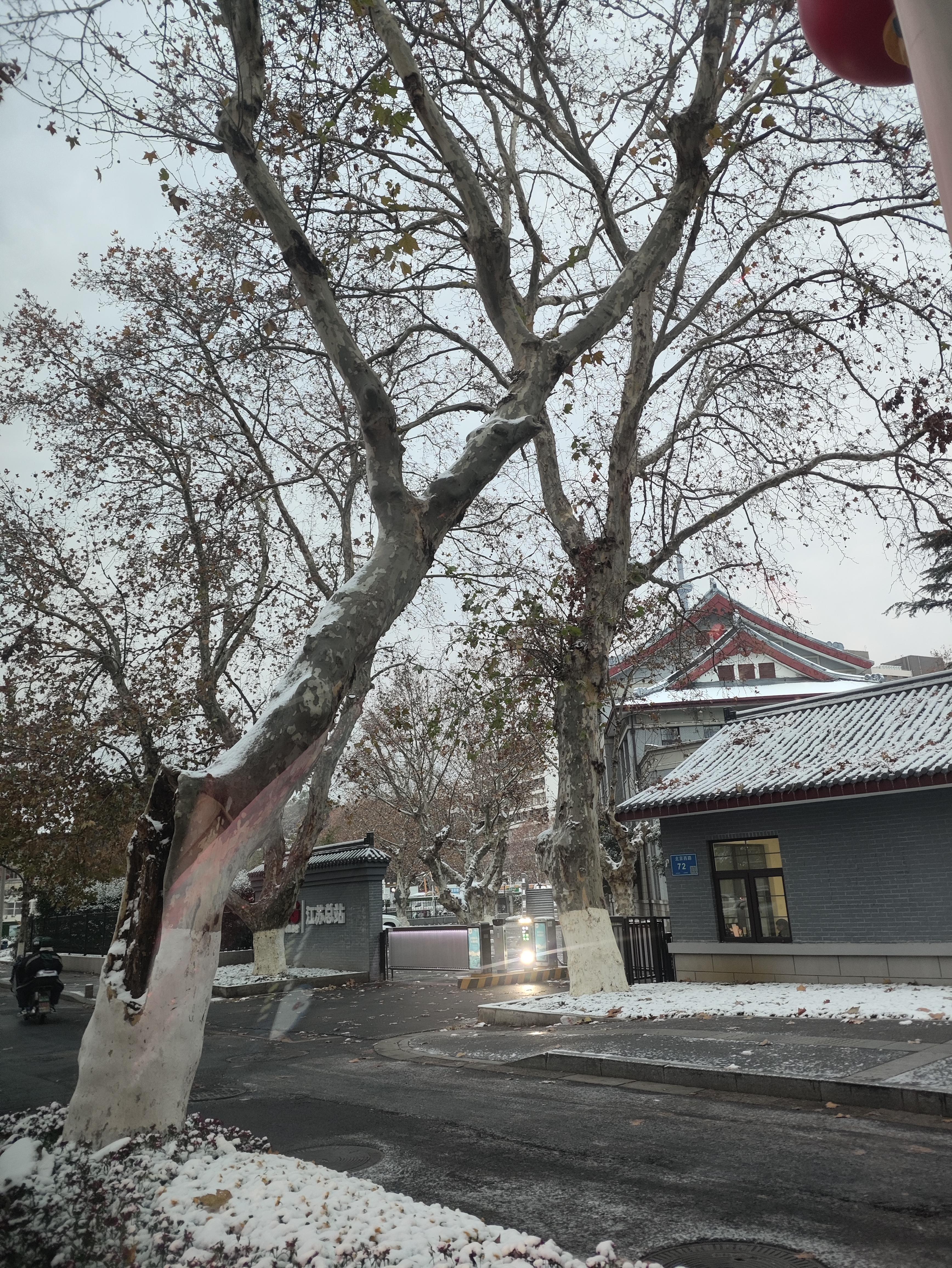 南京终于下雪了,有人说南京一下雪就成了金陵,真的很特别,已经很久