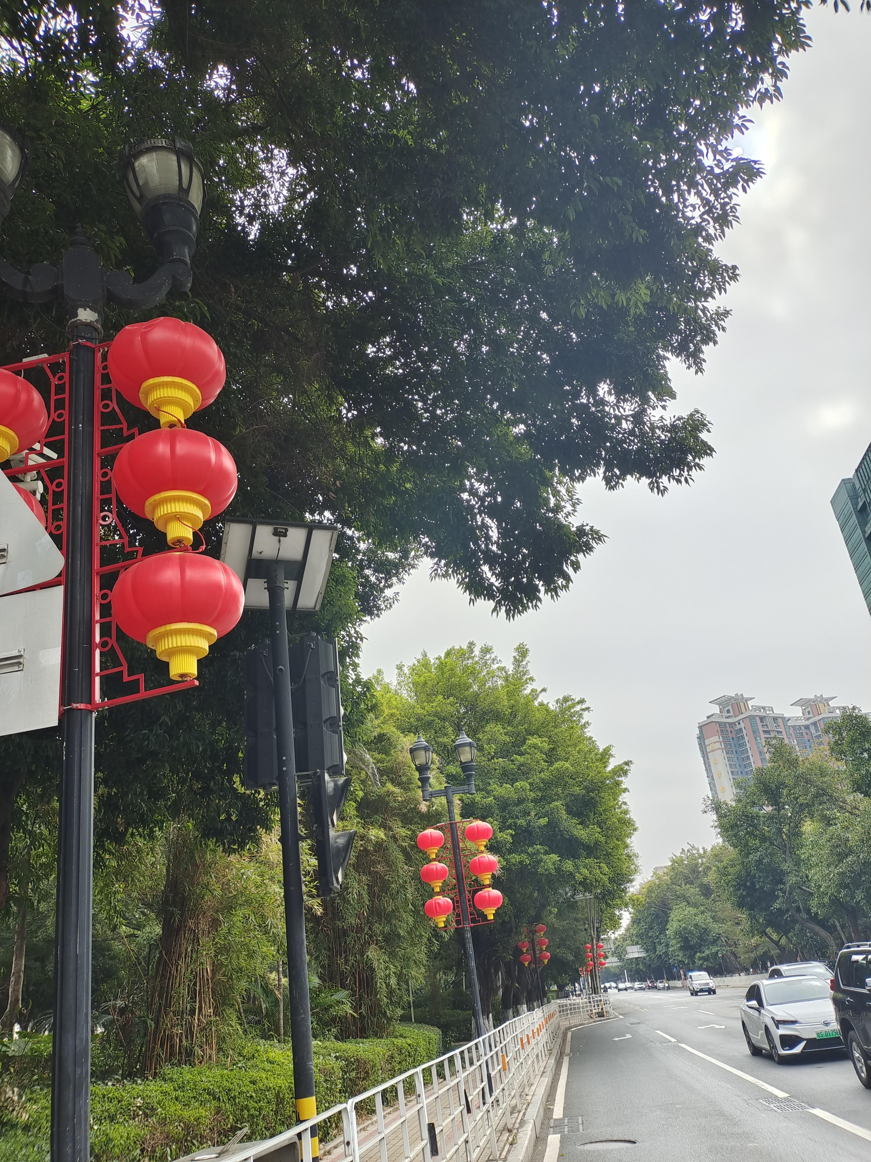 紫殷 的想法: 到处是红灯笼和中国结 | 这几天出门,大街小巷的路灯上