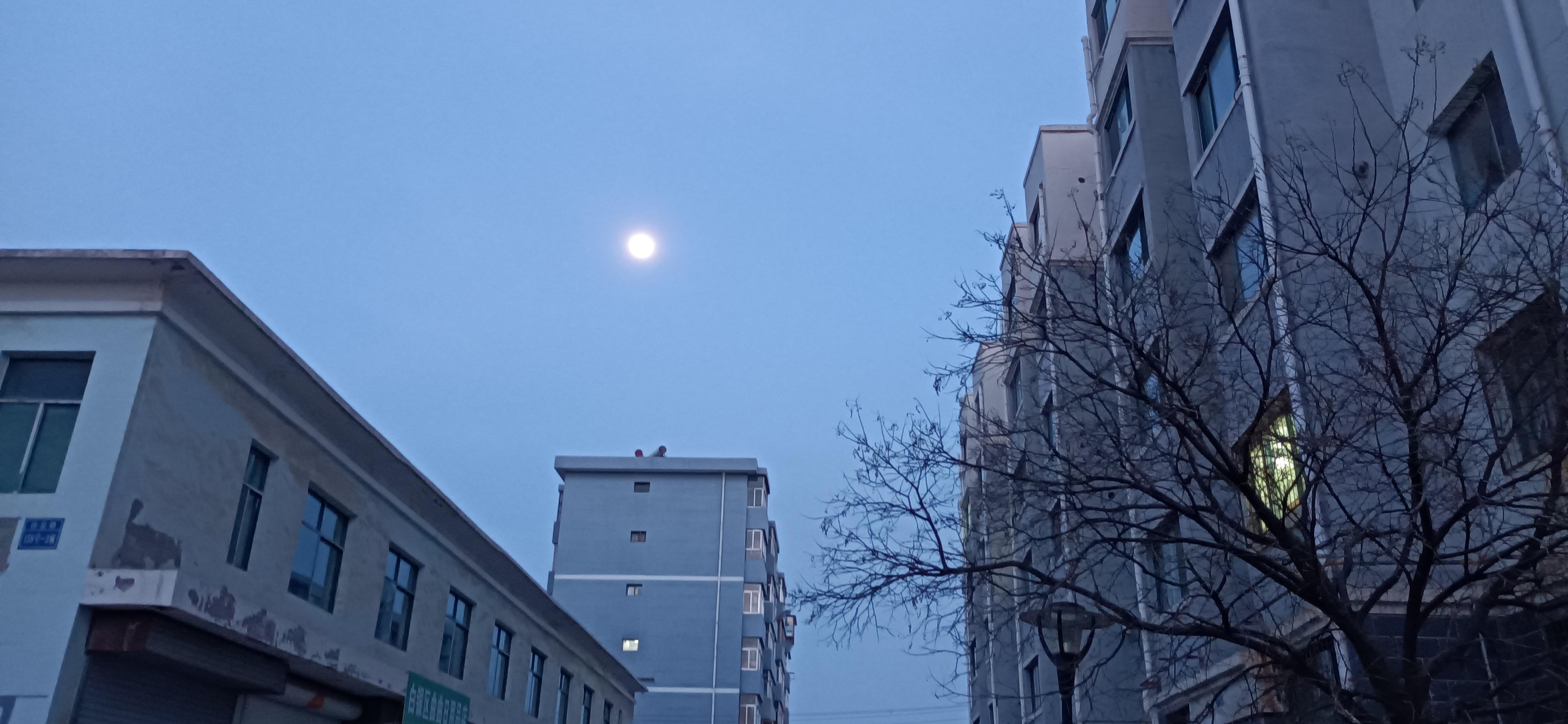 沪上秦人 的想法: 正月十三的夜晚,月亮挂在东边的楼顶,时间过得好快