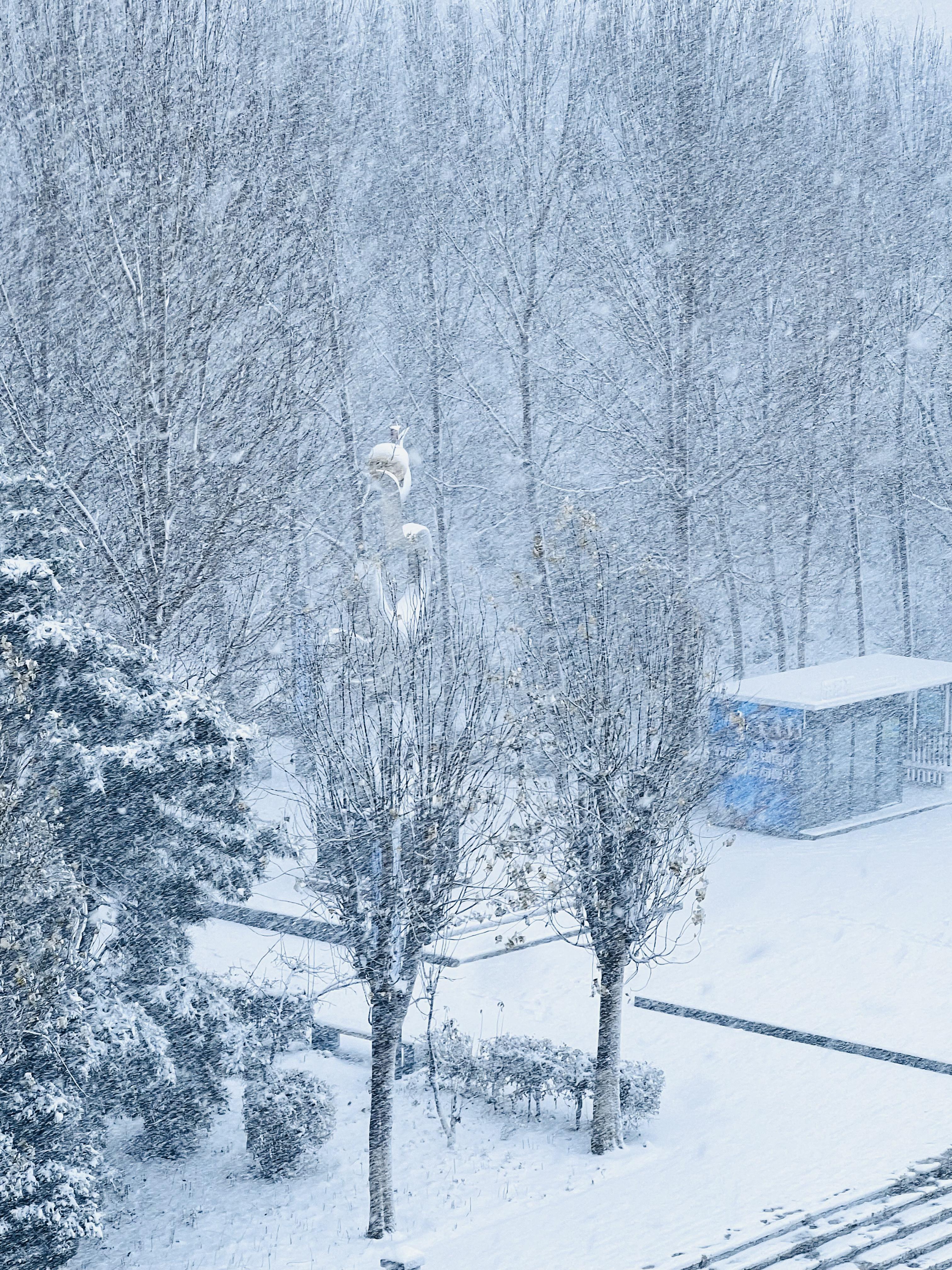 长春下雪图片图片