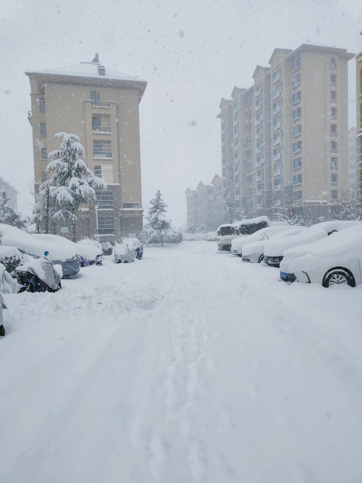 2020威海大雪图片