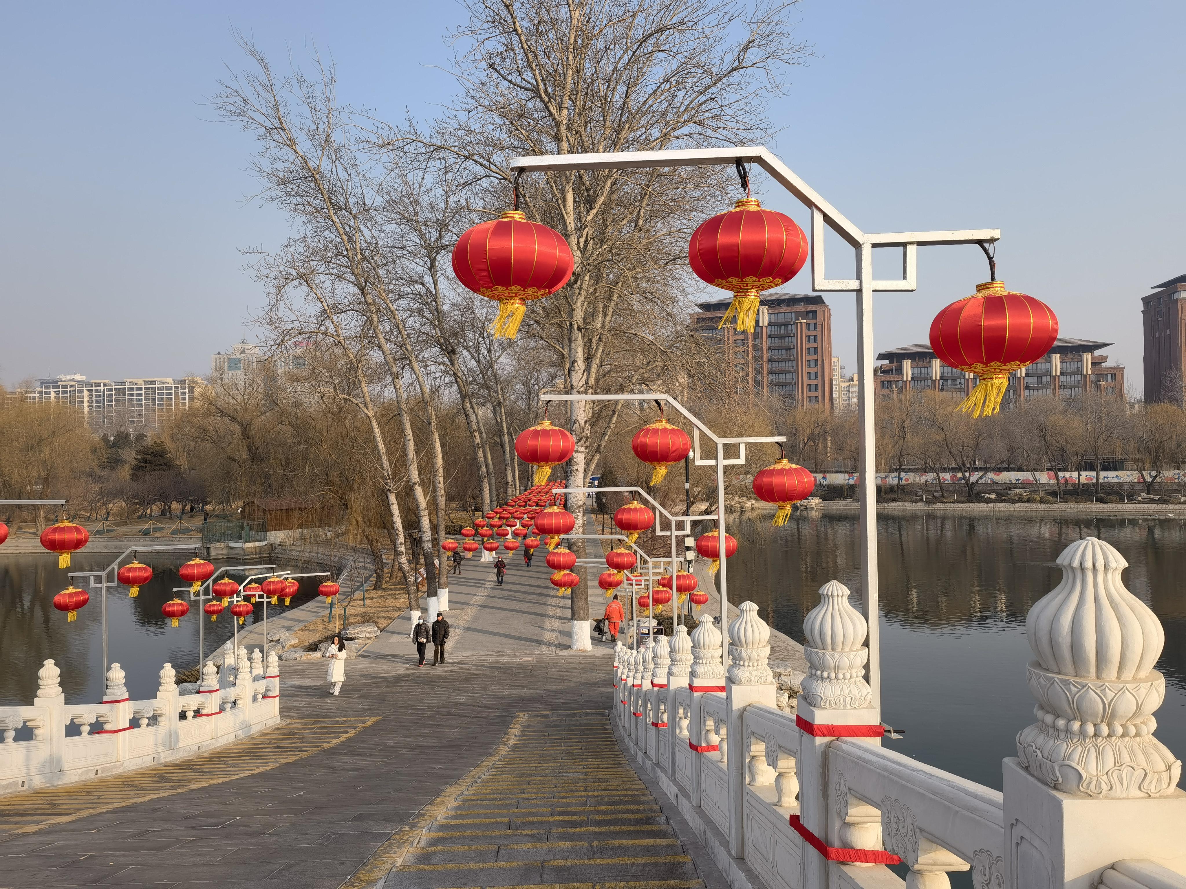 哪里都是红彤彤 | 过年去了几个公园什么的,都特别喜庆,红彤彤暖洋洋