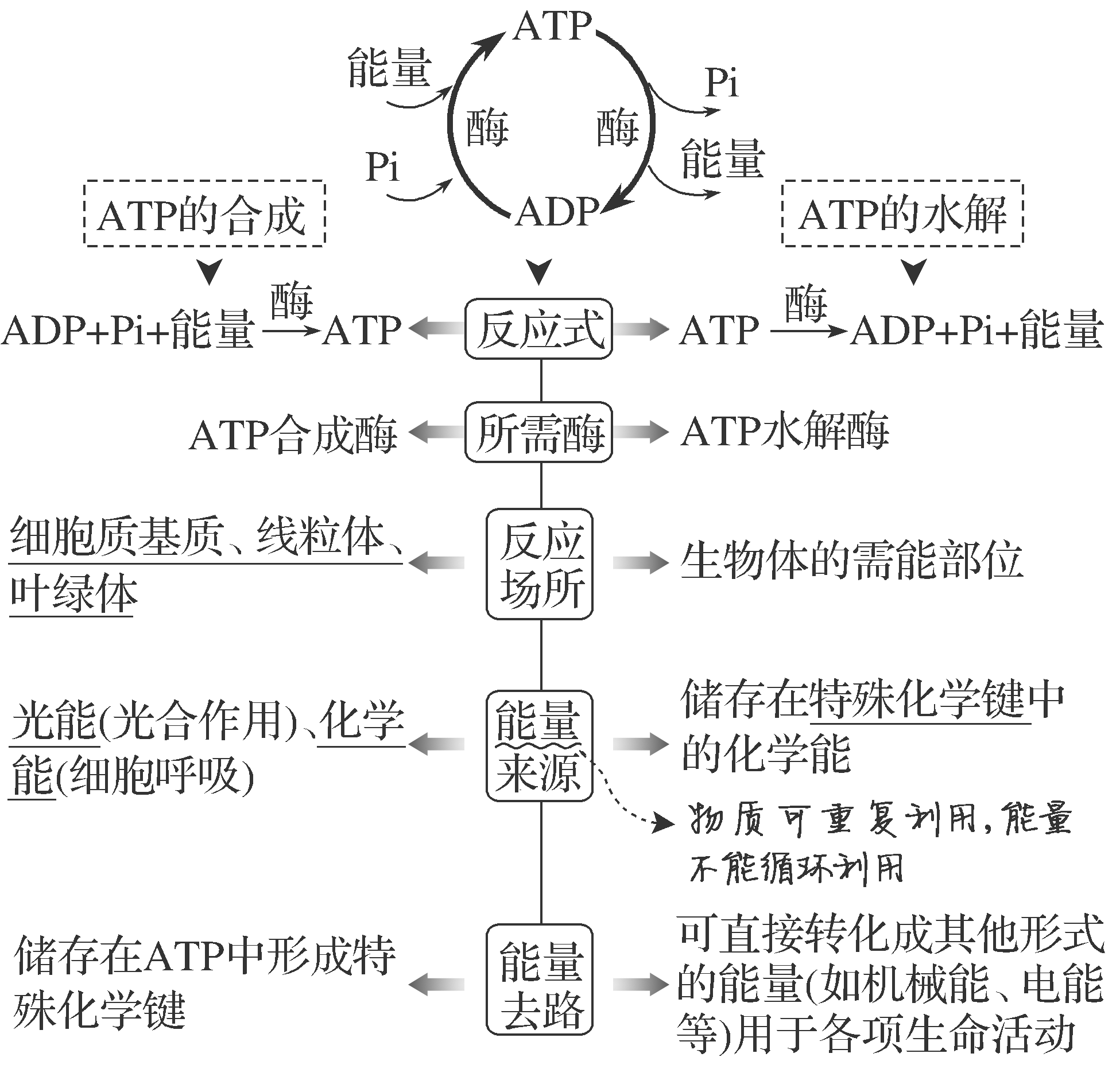 高中生物atp说课(高中生物atp说课视频) 第1张 高中生物atp说课(高中生物atp说课视频) 第1张