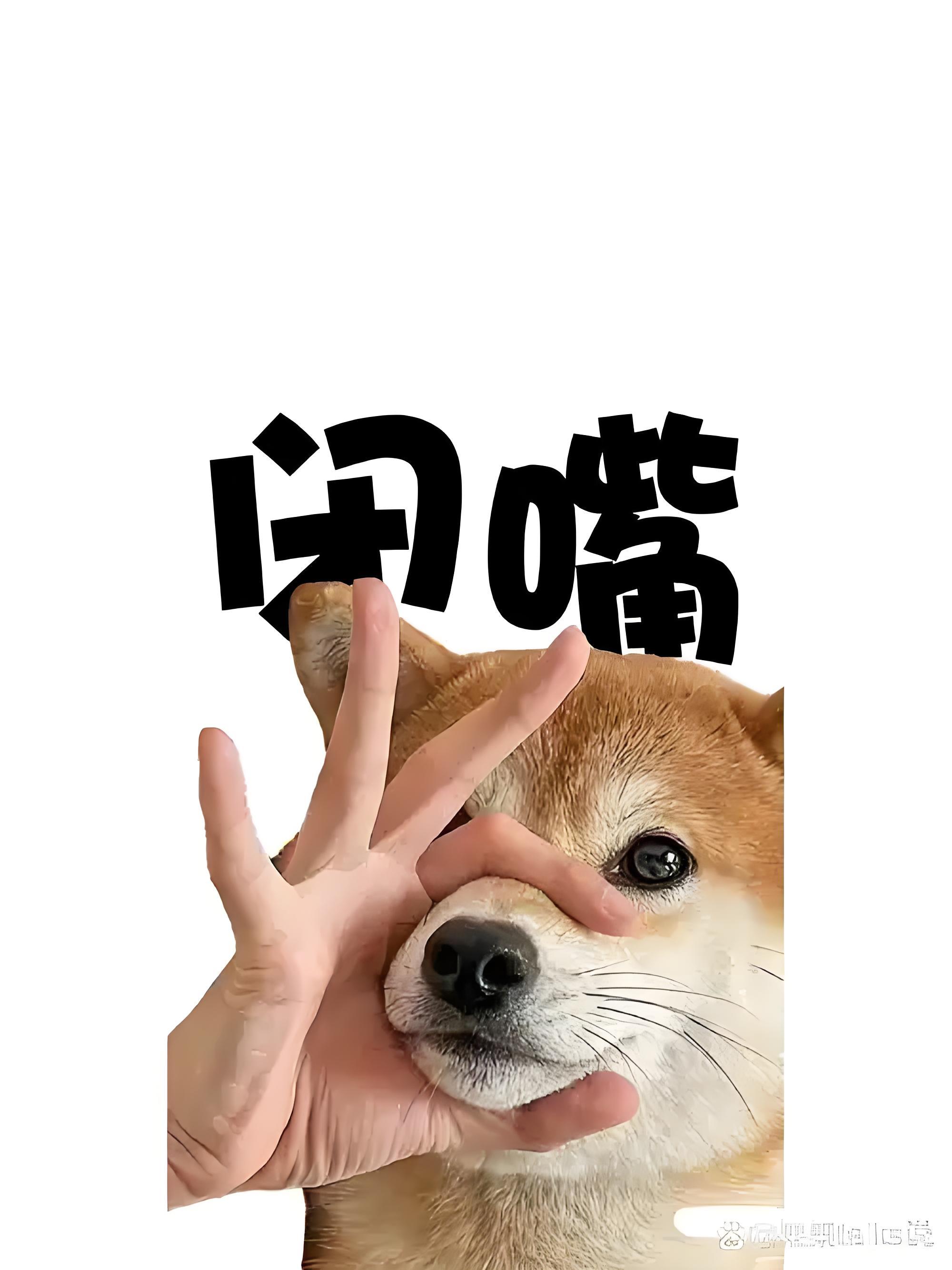 用表情包描绘你的生活 人生最大的困惑就是自己叨叨个没完,但却