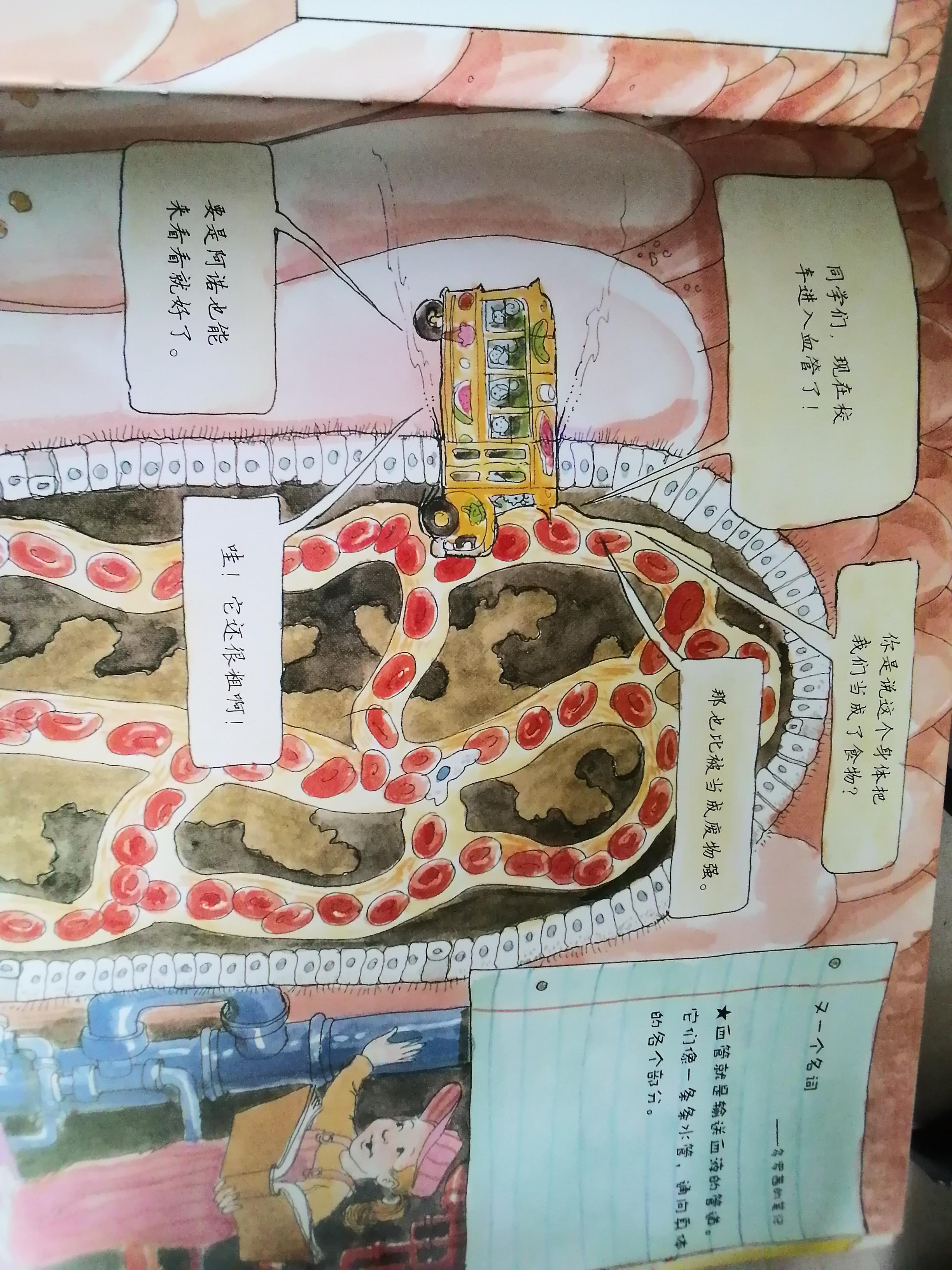 思痕之端 的想法: 《神奇校车》之《在人体中游览》,儿童经典科普类