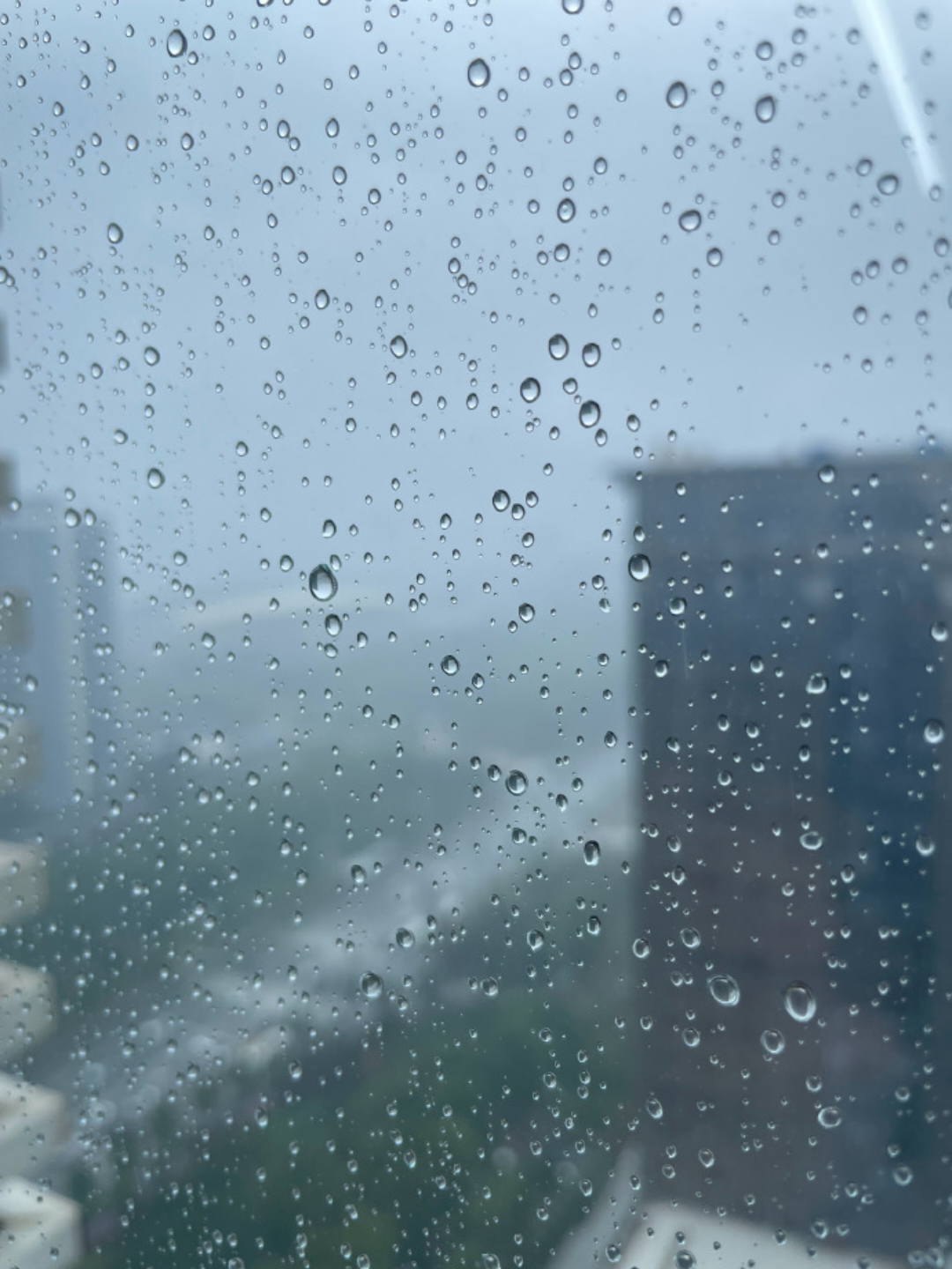 微风甜许 的想法: 雨天的风景