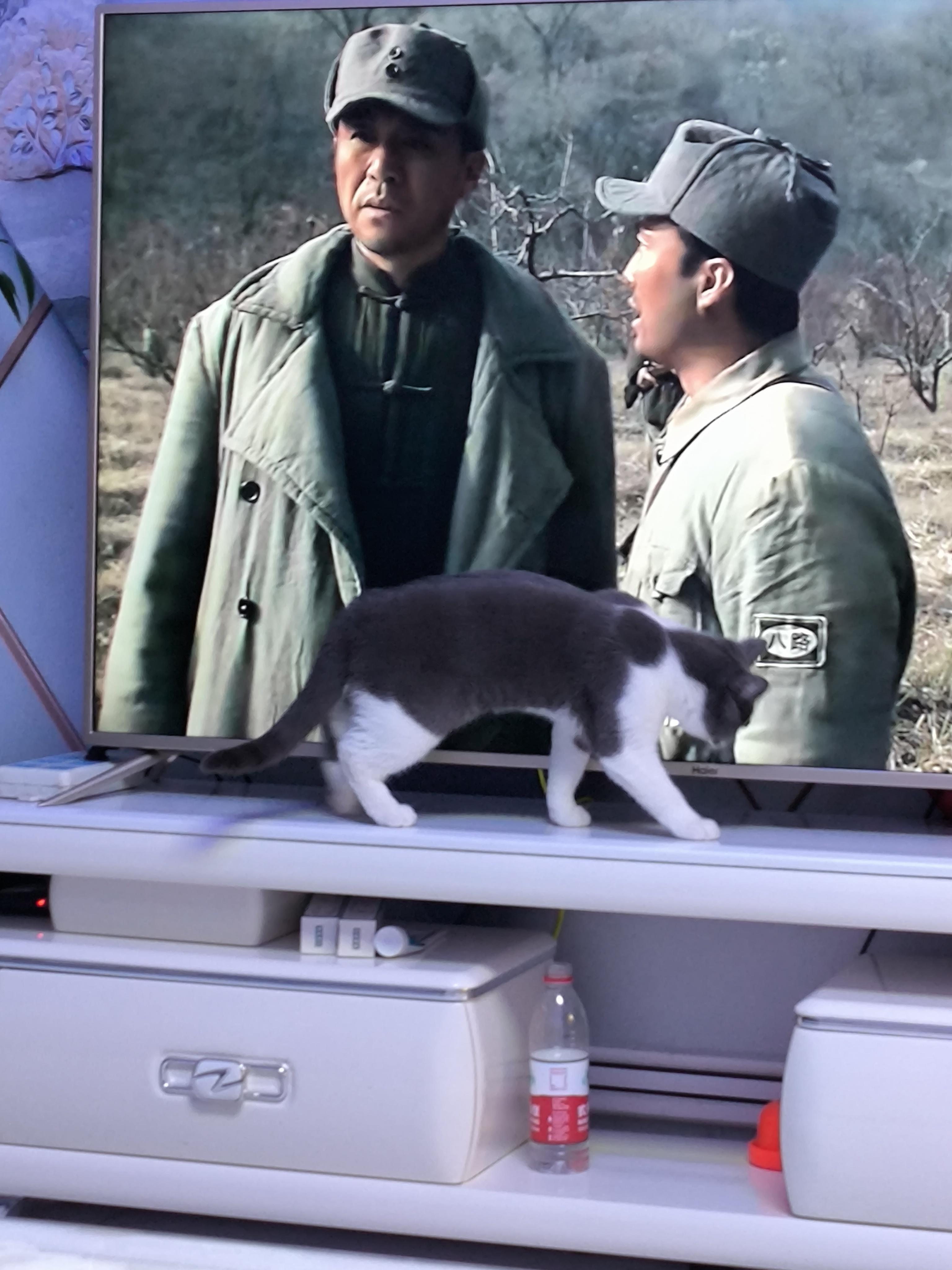 就开心 | 有的时候不要把所有的经历放在一件事情