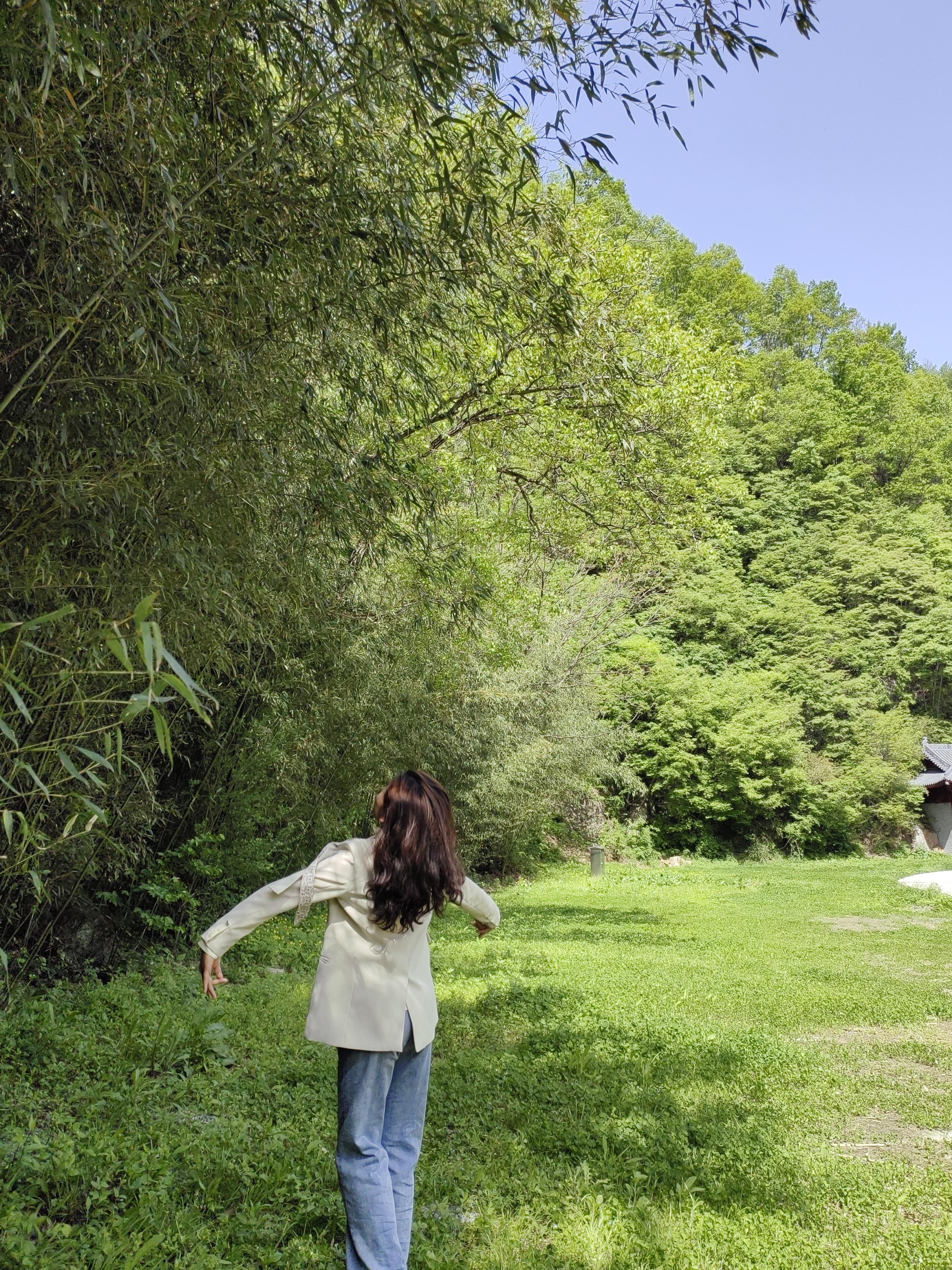 月芽 的想法: 老君山旁,追梦谷里的绿光森林 | 92设备:华为nove7pro