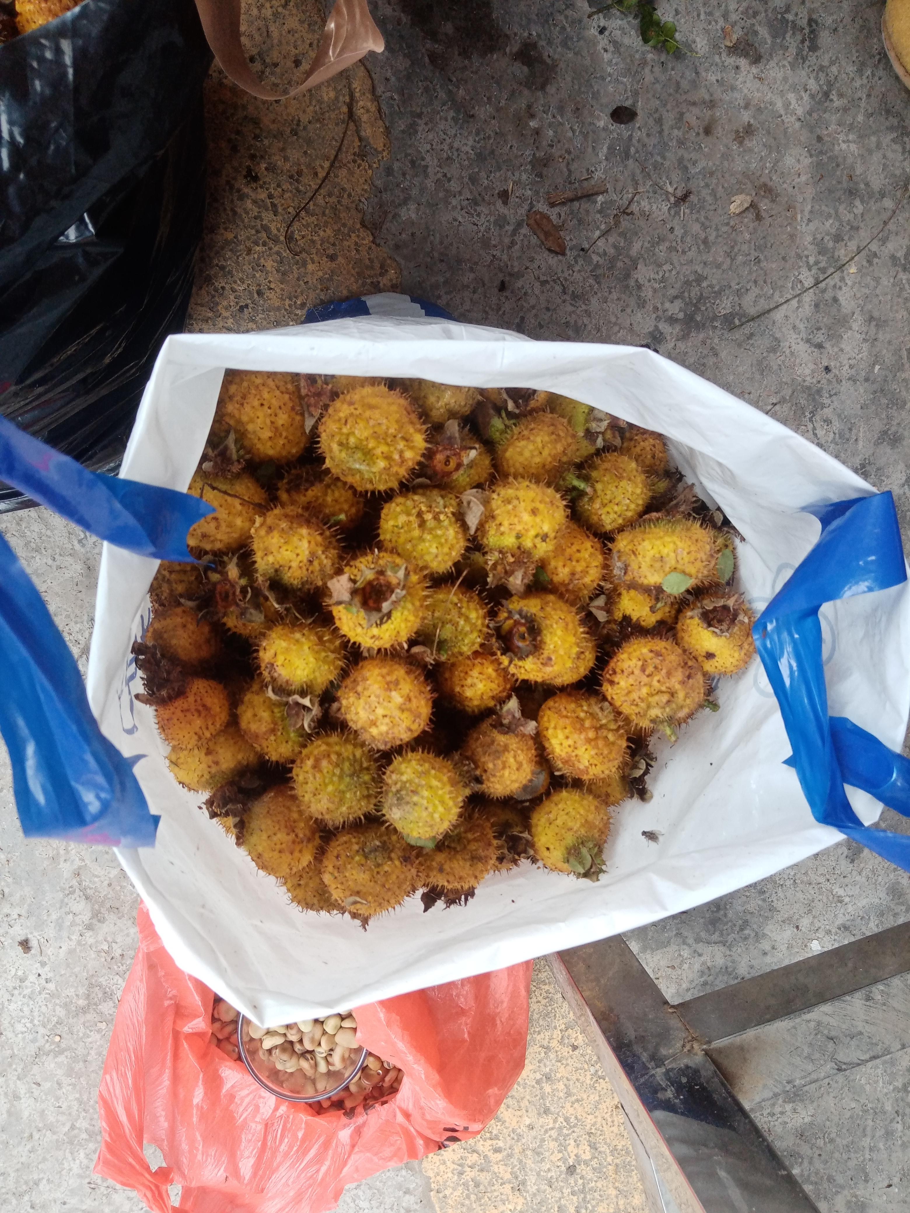 这种水果全身长满刺,果头还穿着衣服 ,把衣服和刺弄干净后,切开它