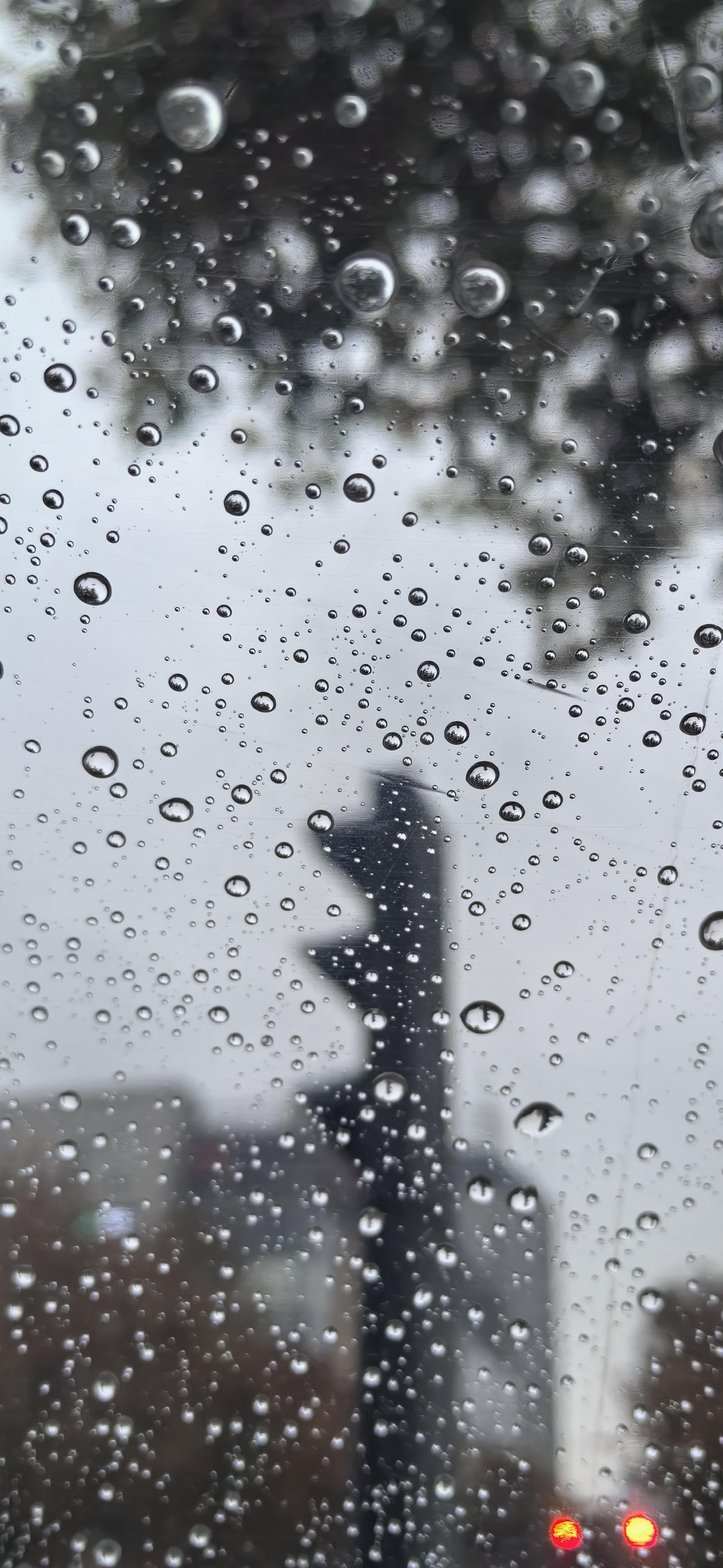 summer 的想法: 冬日的雨天 | 冬日的西安,迎来了一场冬雨,气温陡降