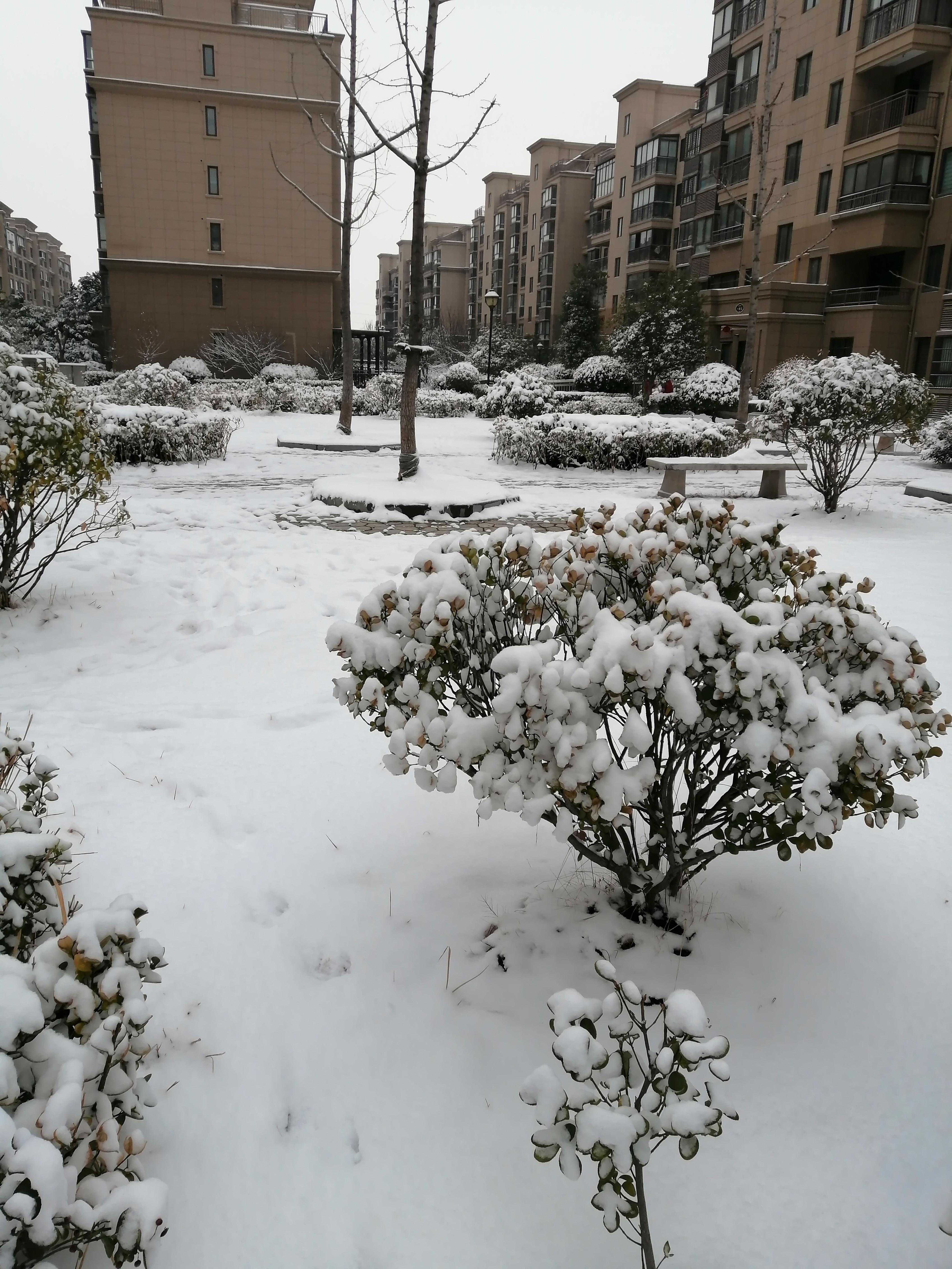 下雪 真实 实景图片