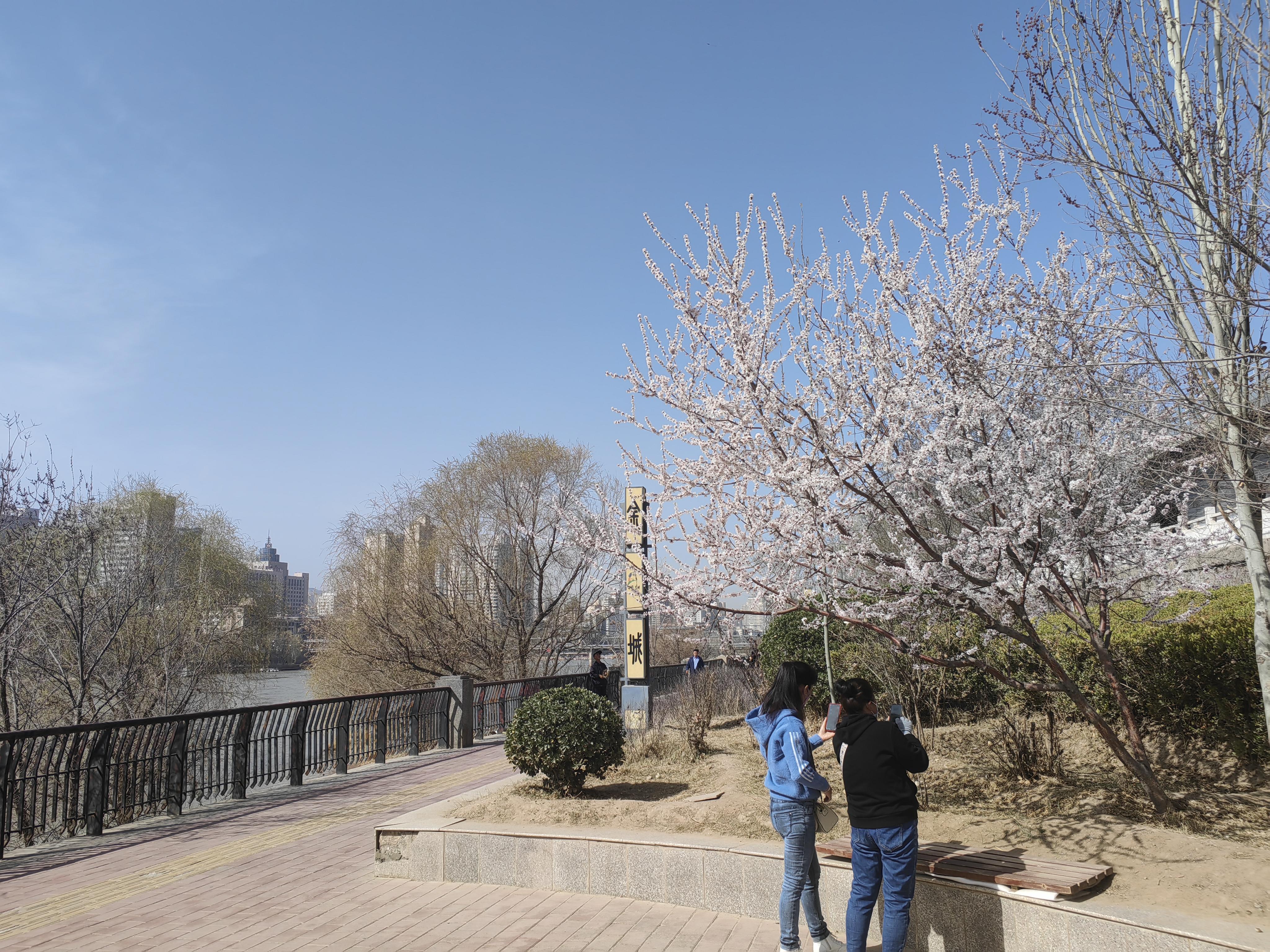  br> br>今天一天听的都是二手玫瑰的《耍猴儿》.