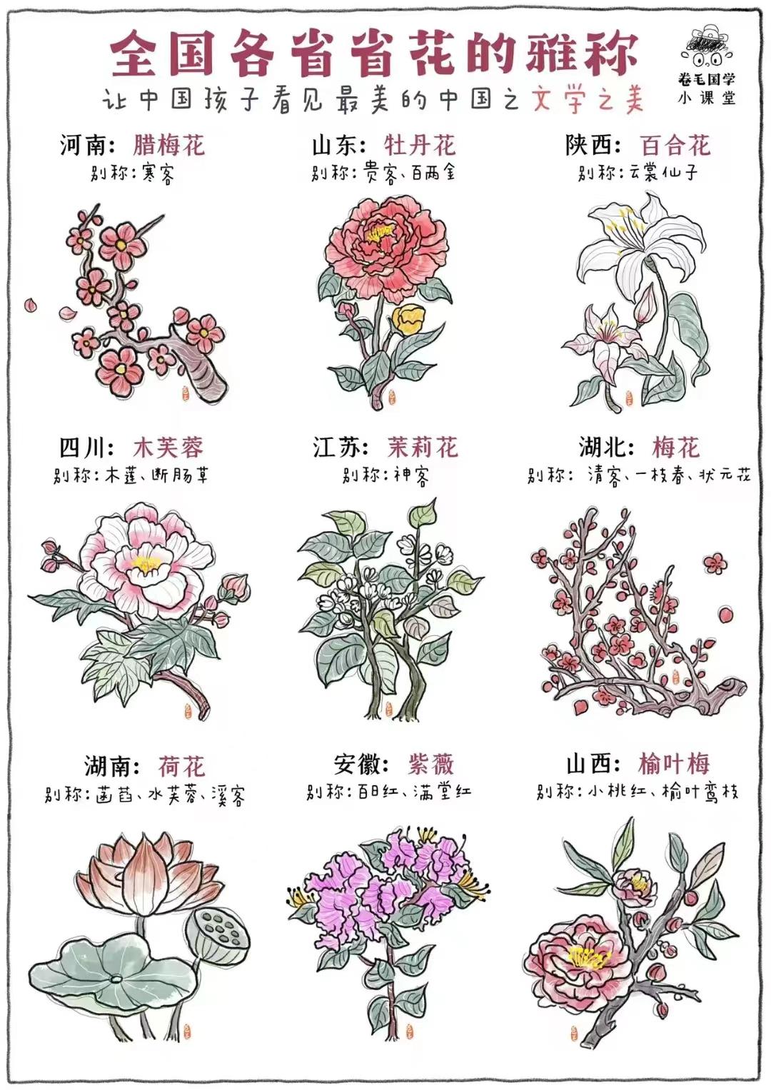 全国各省省花雅称