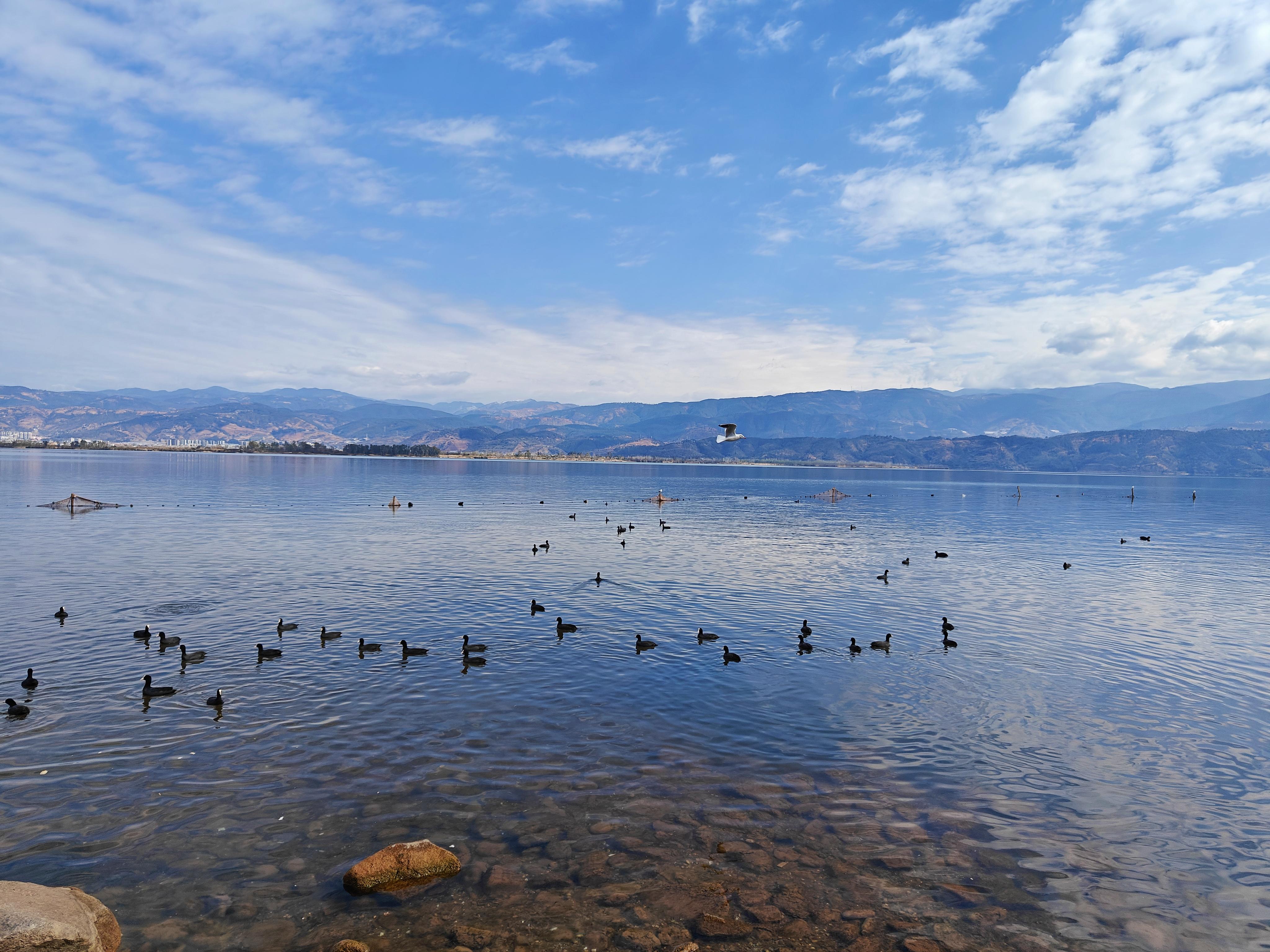 对子狗 的想法: 西昌,邛海,土火锅 | 91拍摄设备:11